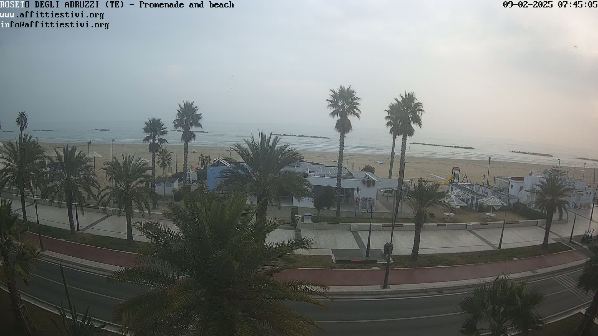 A hazy beach scene shows palm trees lining a promenade next to a sandy beach and calm ocean.