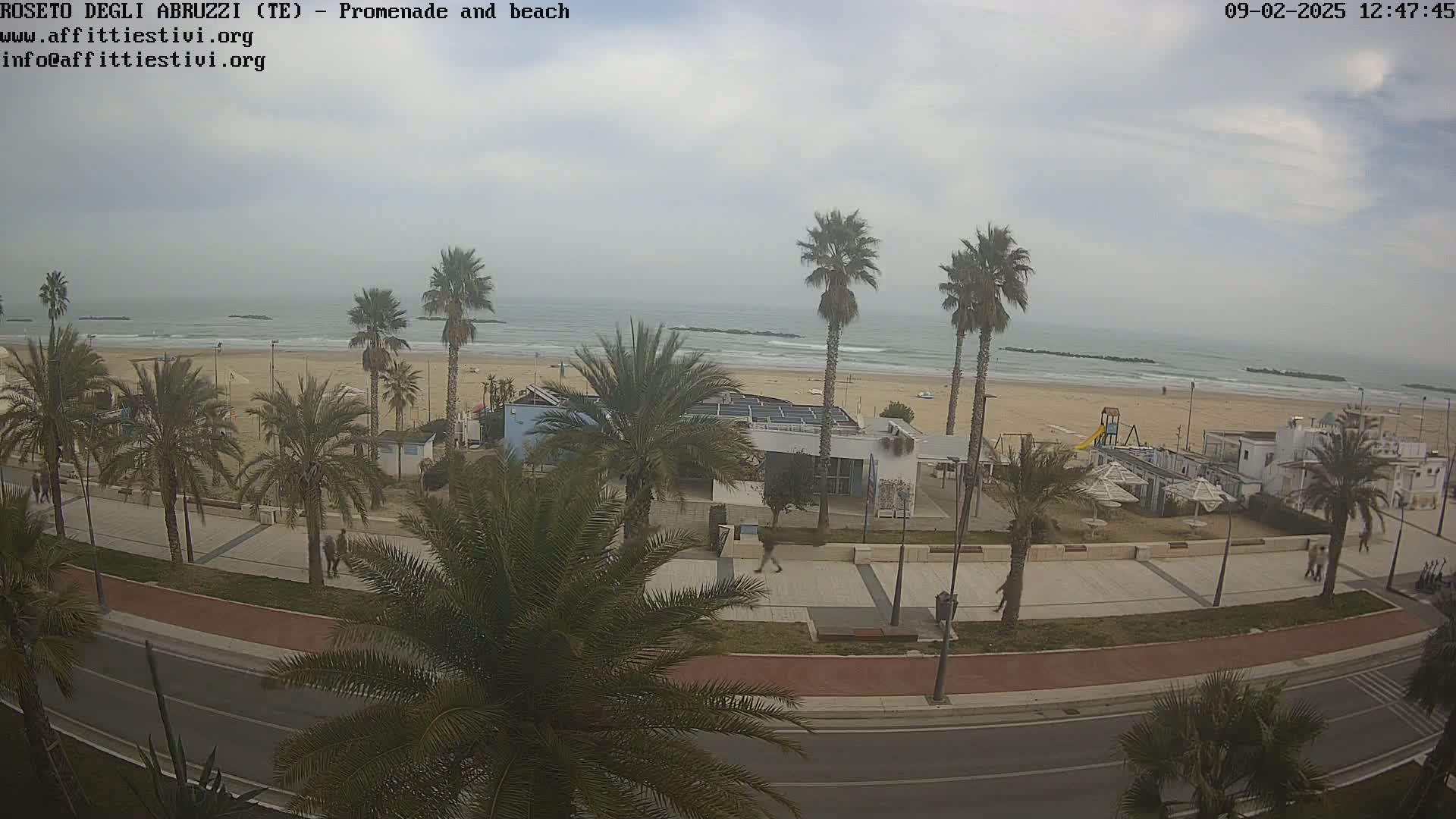 A beachfront promenade lined with palm trees overlooks a sandy beach and a calm, overcast ocean.