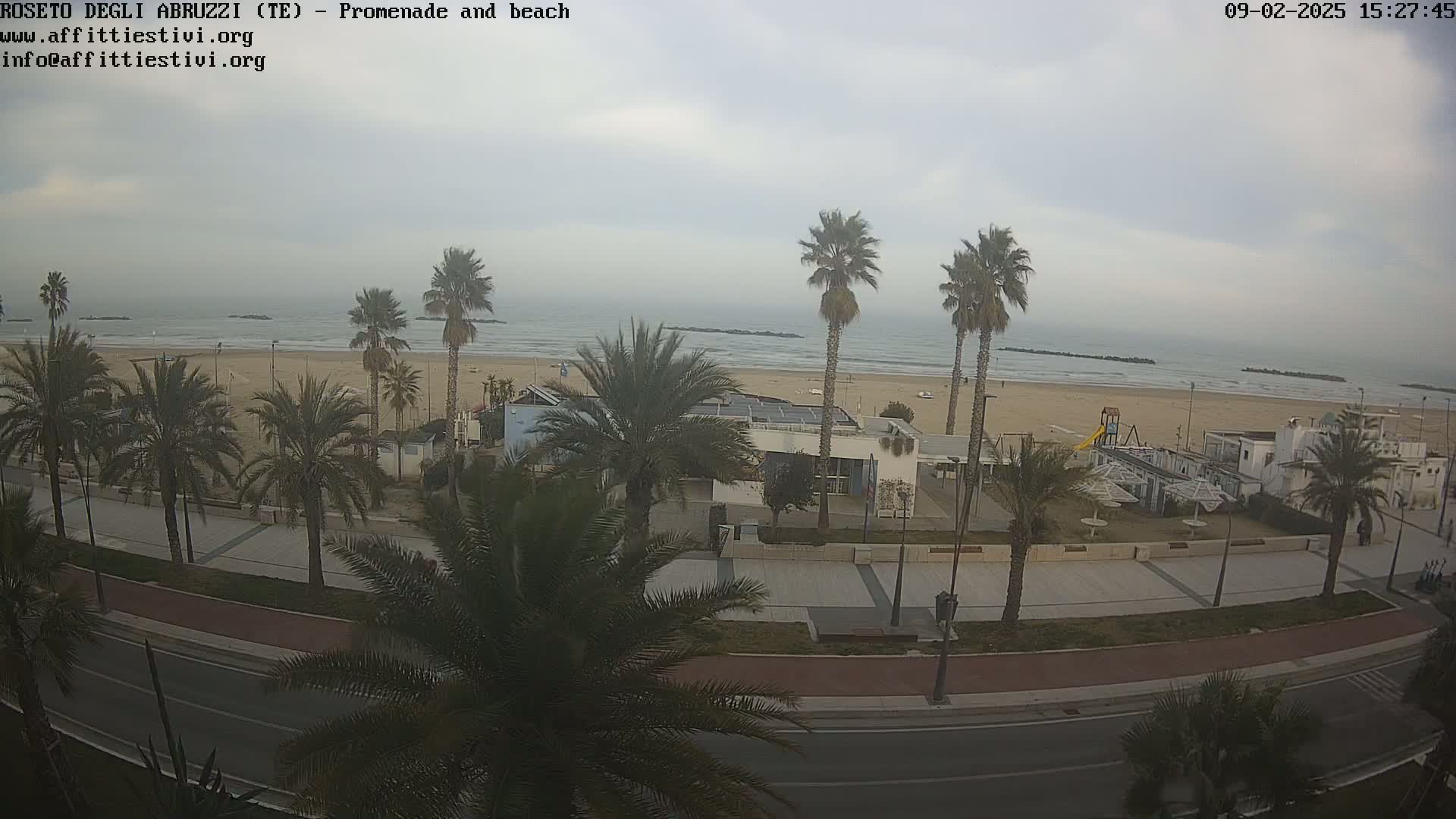 A beach with calm, overcast skies, palm trees lining a paved promenade next to a sandy shore and ocean.