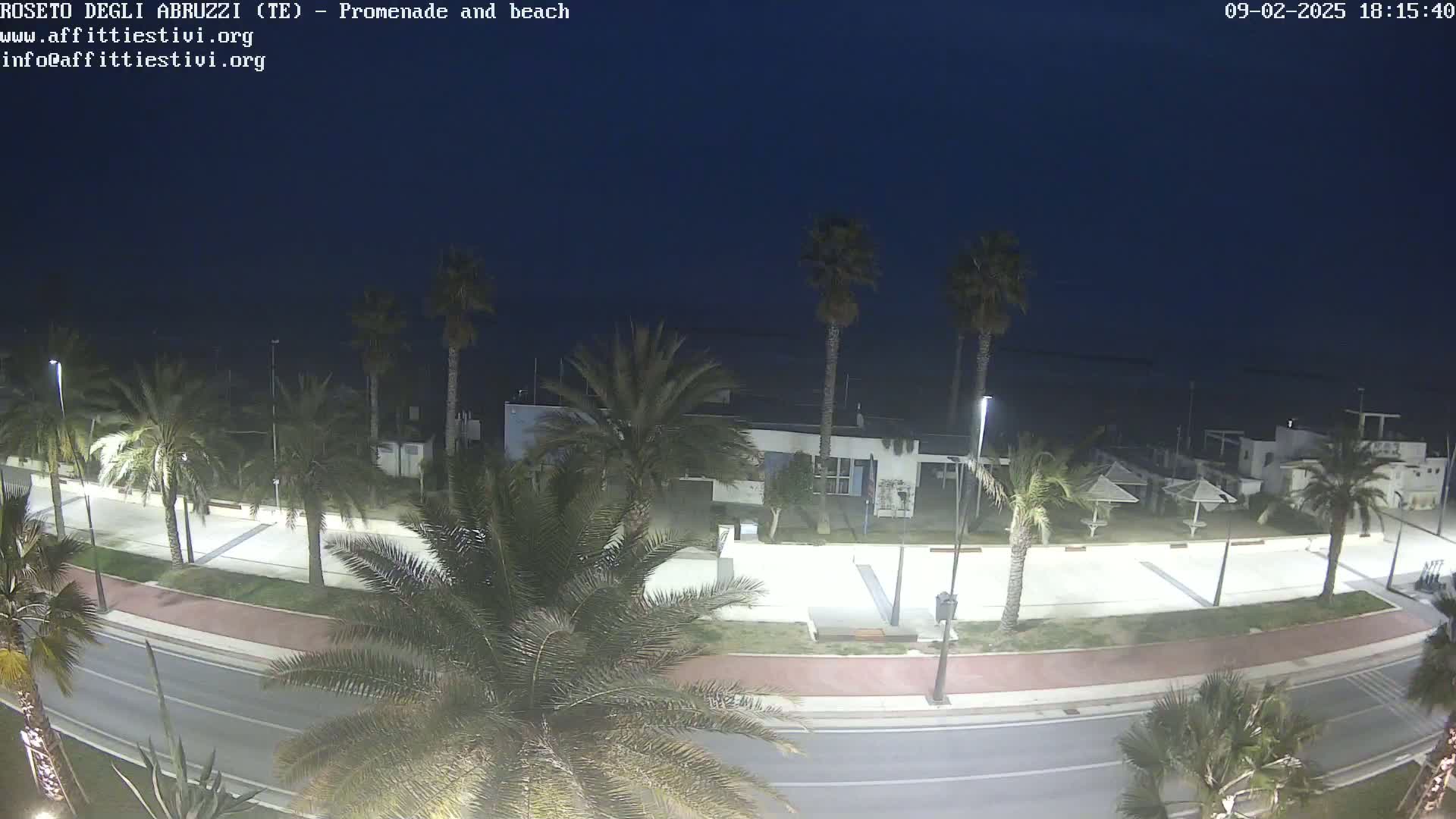 A nighttime view of a beachfront promenade with palm trees lining a road next to a calm, dark sea.