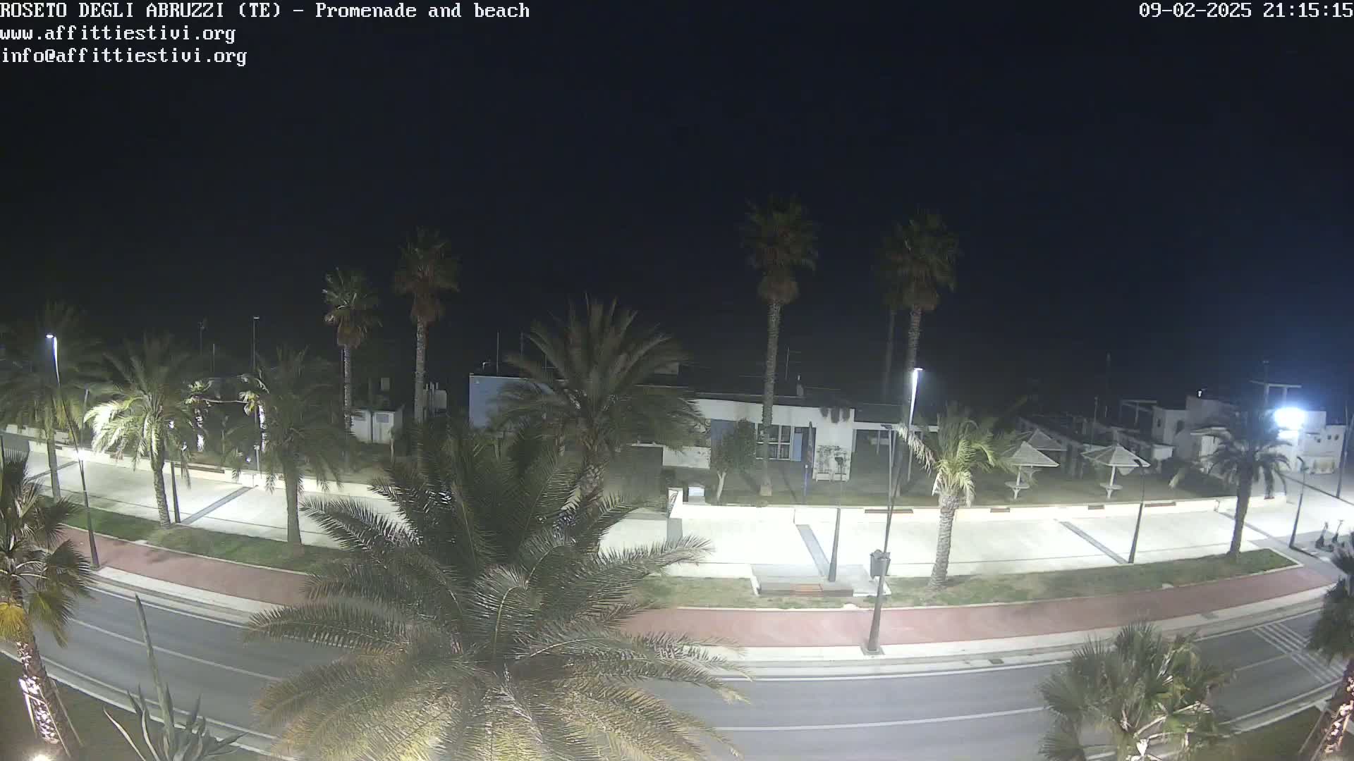 A nighttime, overhead view of a paved promenade and road lined with palm trees, next to a beach with closed beach umbrellas.