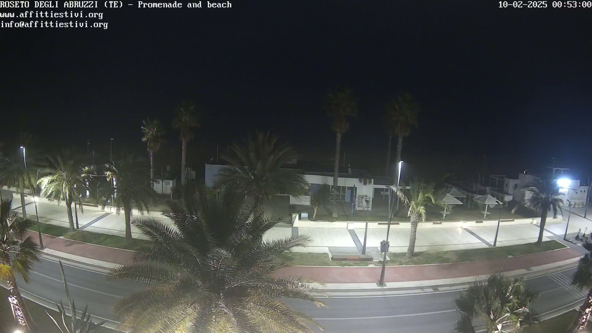 A nighttime view of a palm-tree-lined promenade and beach, illuminated by streetlights.