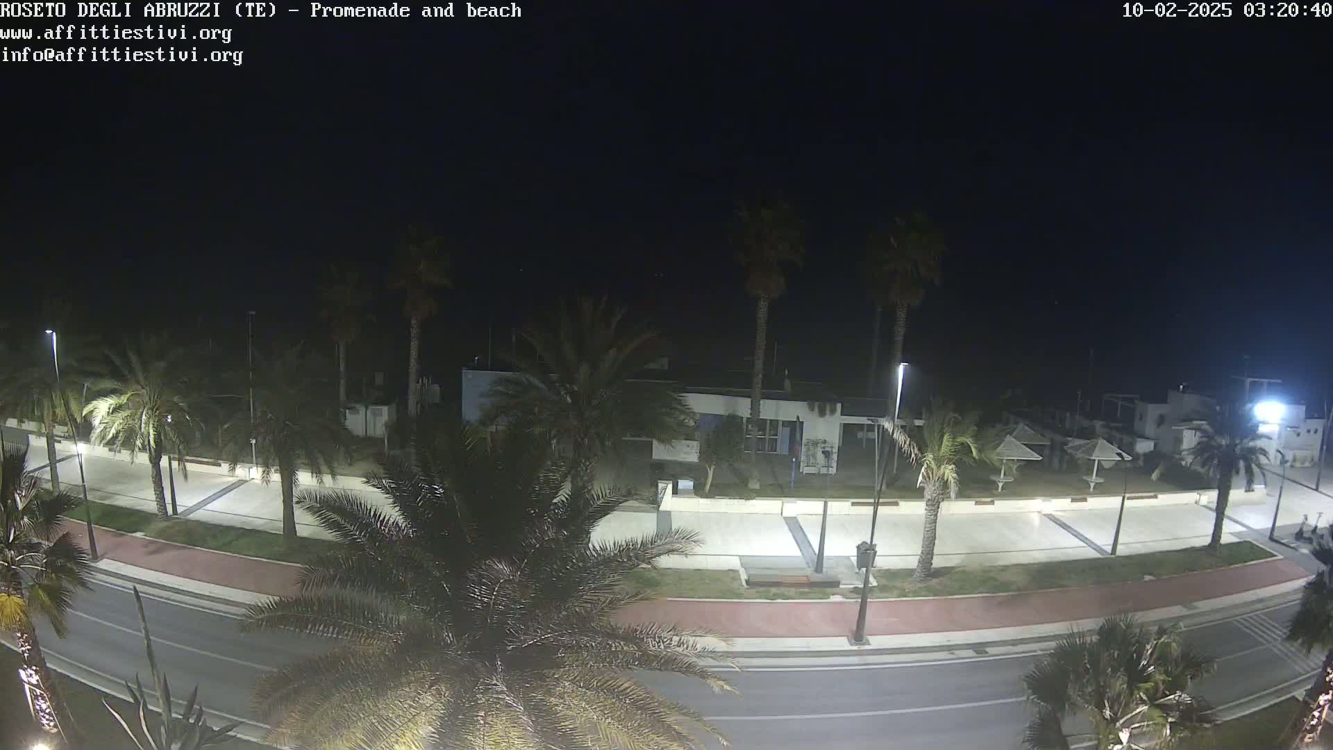 A nighttime view of a beach promenade with palm trees lining a road next to a paved walkway and beach umbrellas.