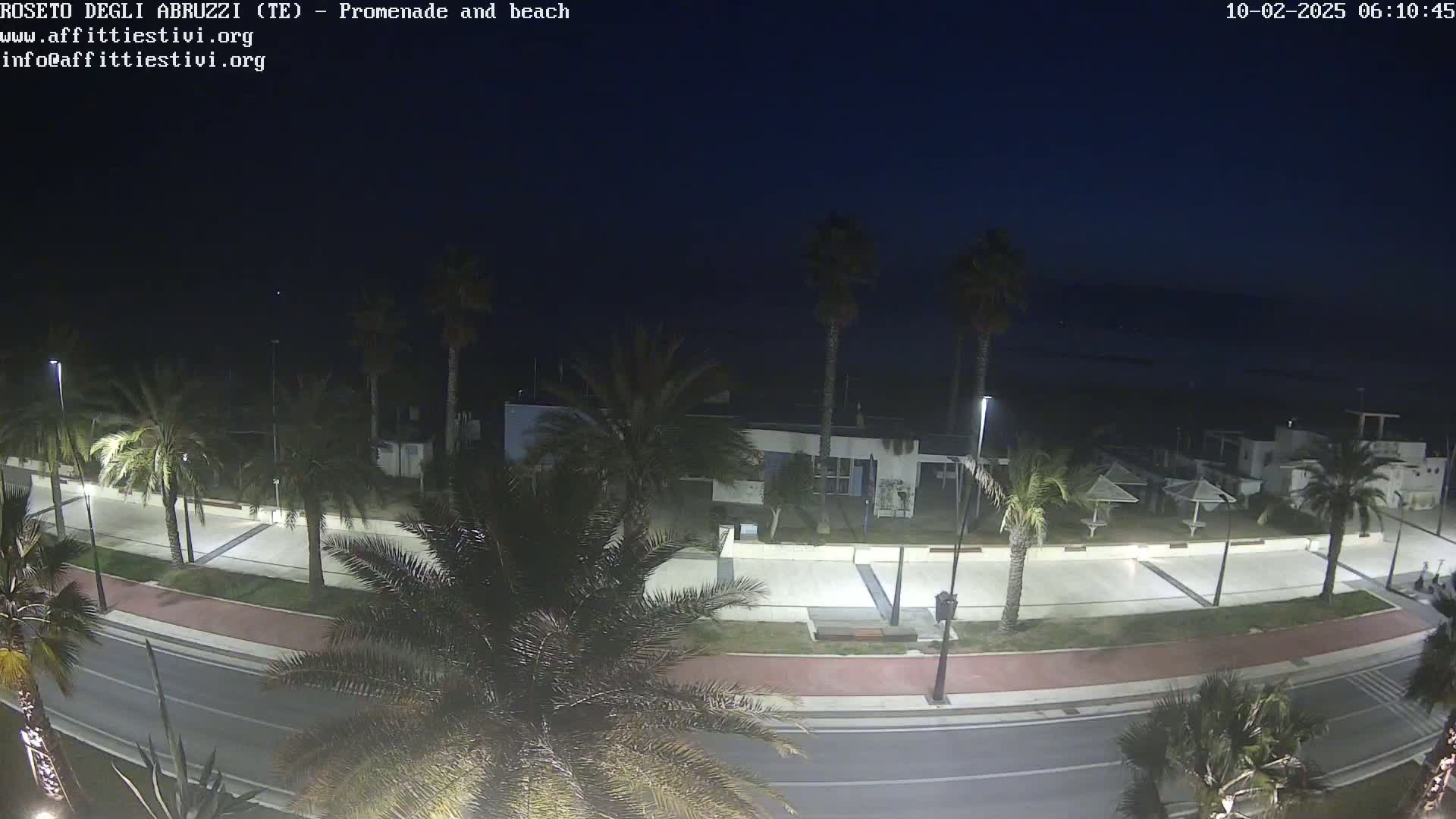 A nighttime view of a paved promenade and beach area lined with palm trees, under a dark, clear sky.