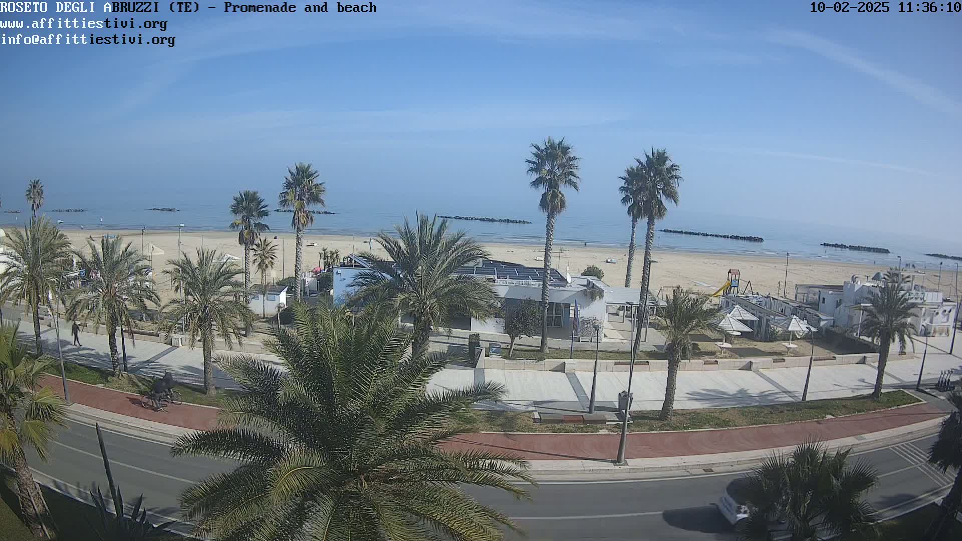 A beach with palm trees lining a promenade and road, under a clear blue sky.