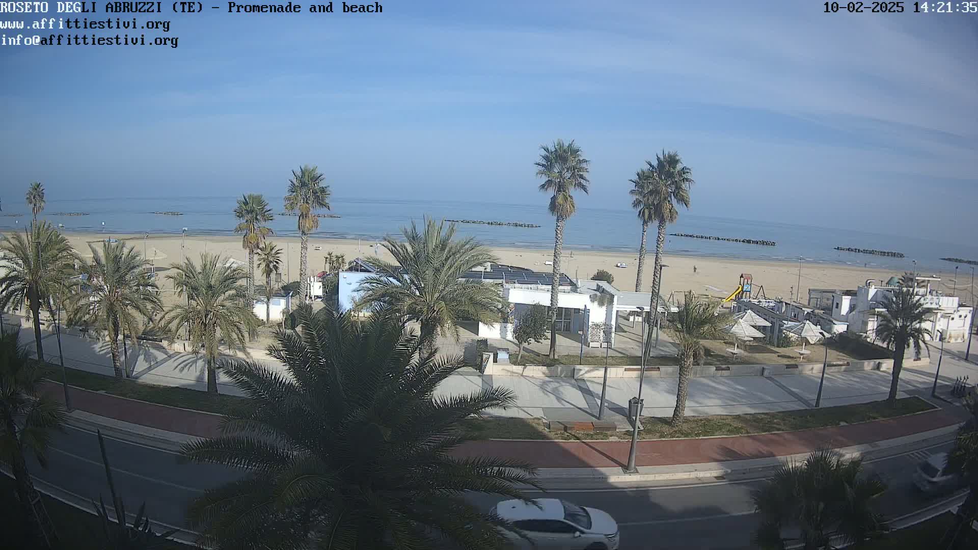 A sunny day shows a beach with palm trees lining a promenade and road, next to a calm ocean.