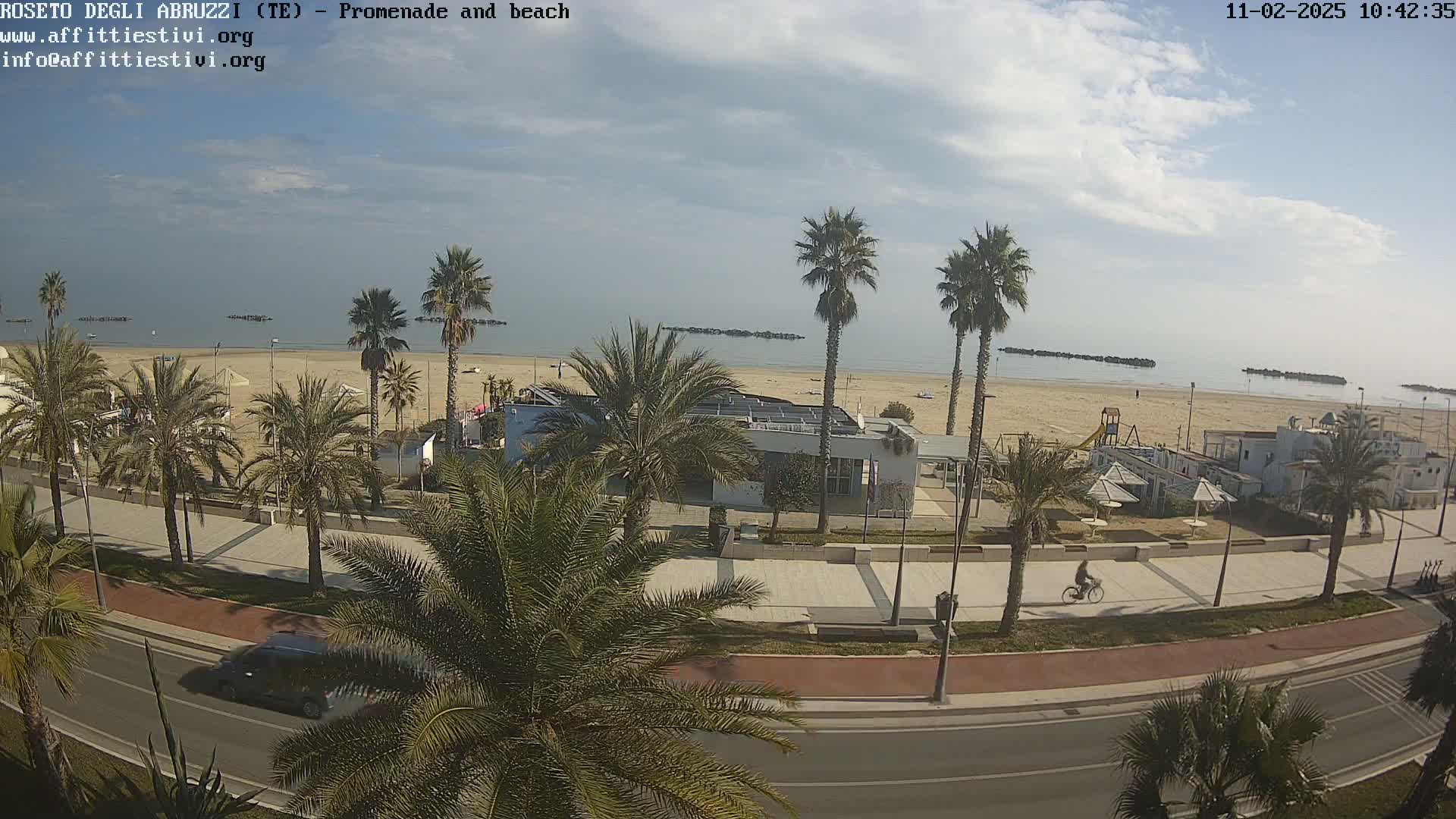A mostly sunny day reveals a beach with calm water, palm trees lining a promenade beside a road, and a person biking along the path.