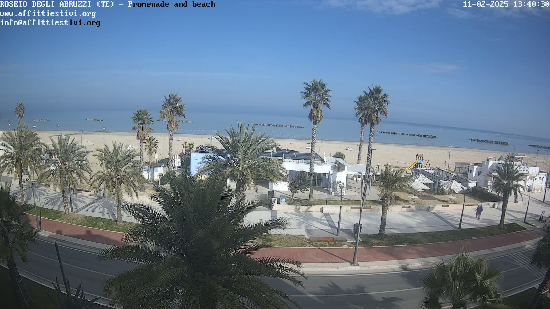 A sunny day at a beach promenade shows palm trees lining a paved walkway next to a sandy beach and calm ocean.