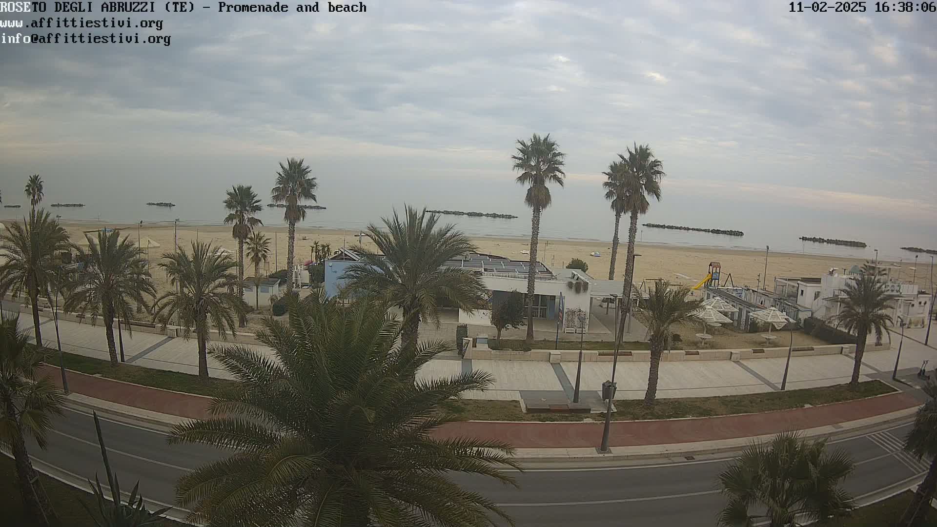 A beach with palm trees lining a promenade and road, under an overcast sky.