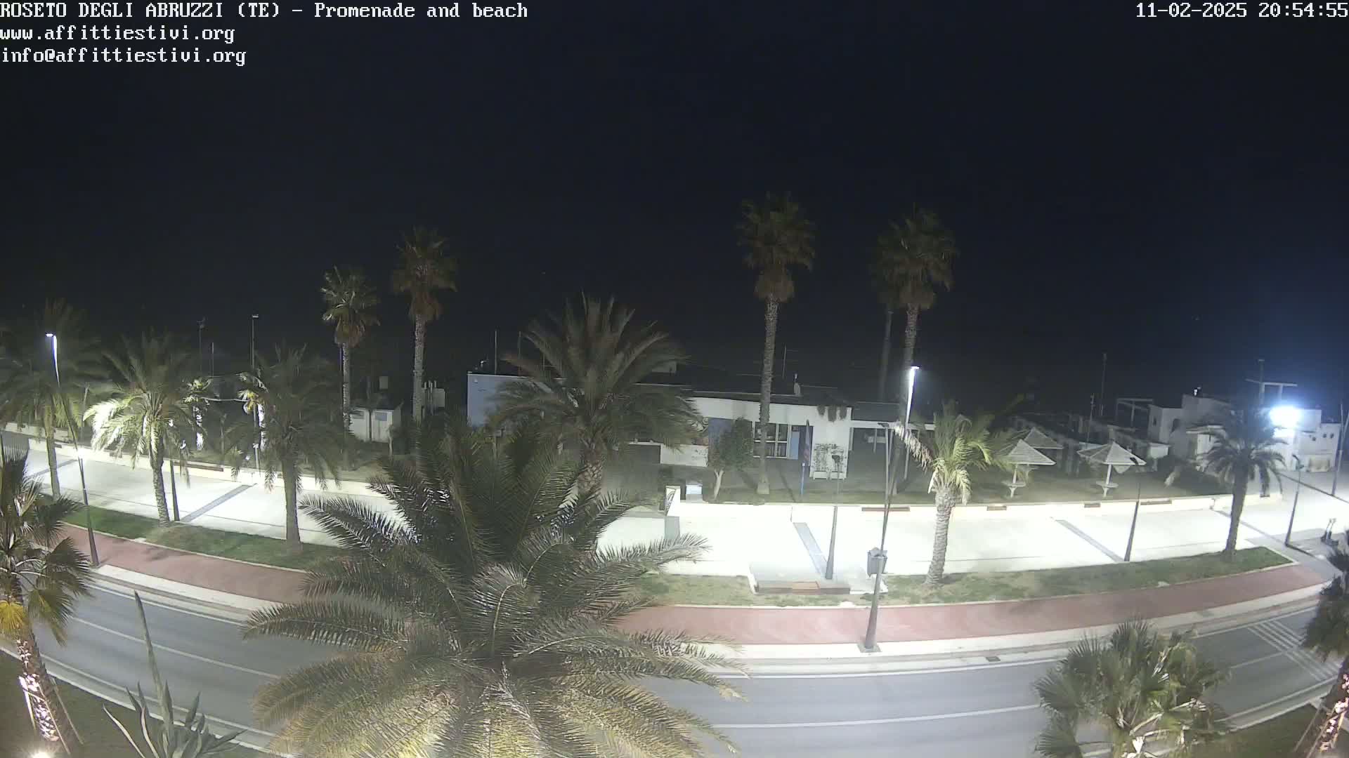 A nighttime view of a beachside promenade lined with palm trees, a road, and several buildings under a dark sky.