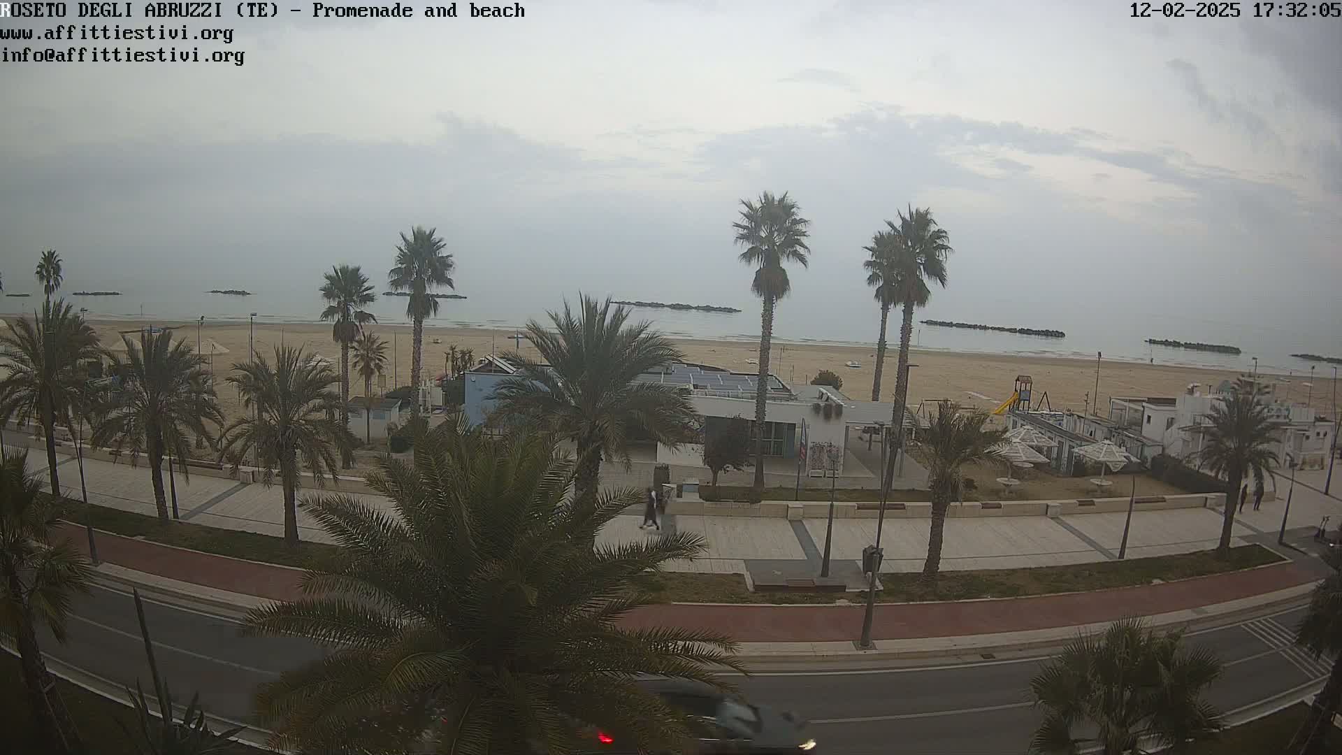 An overcast day shows a beach with palm trees lining a promenade and road next to the water.