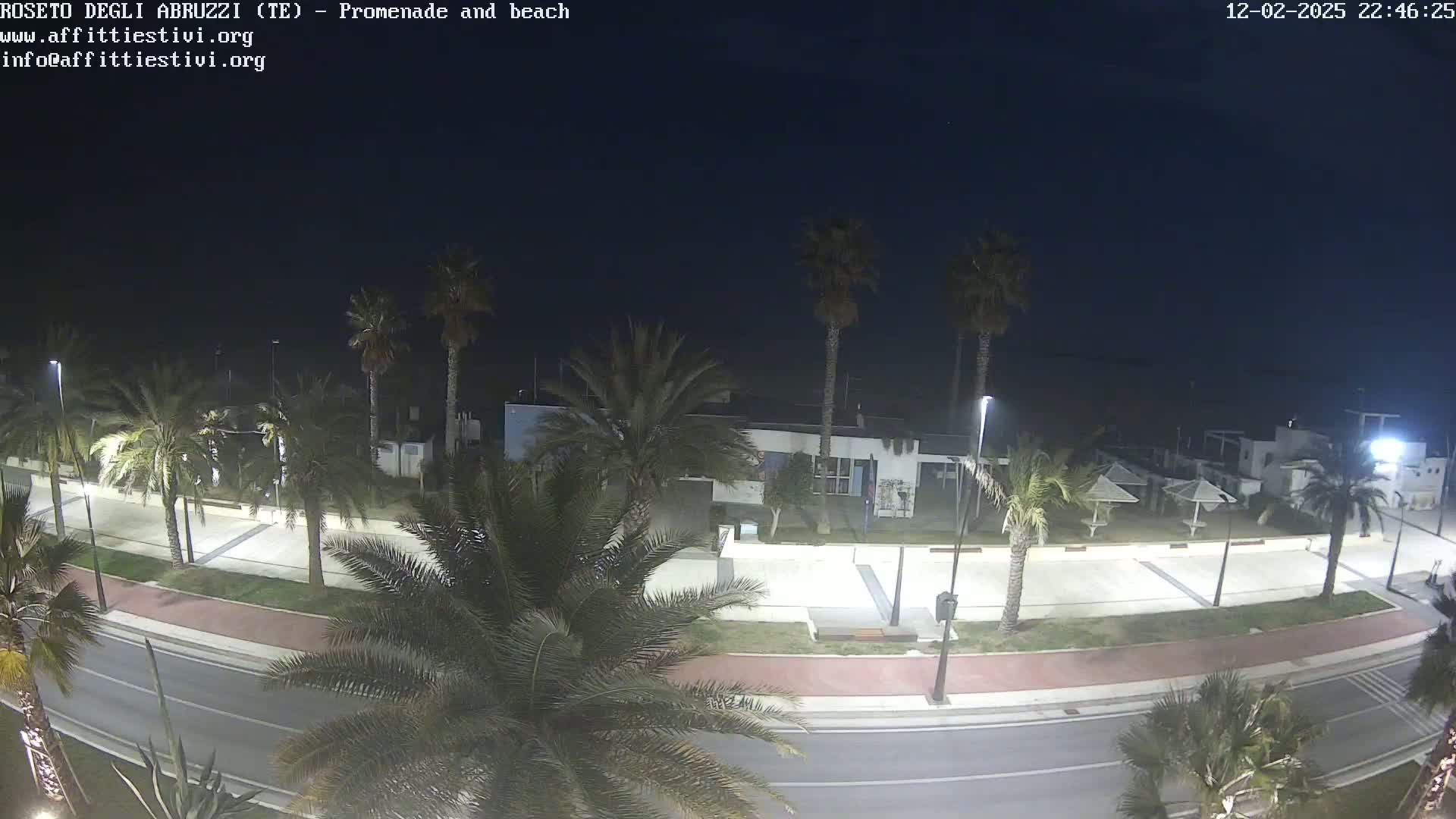 A nighttime view of a palm tree-lined promenade and beach, under a clear, dark sky.