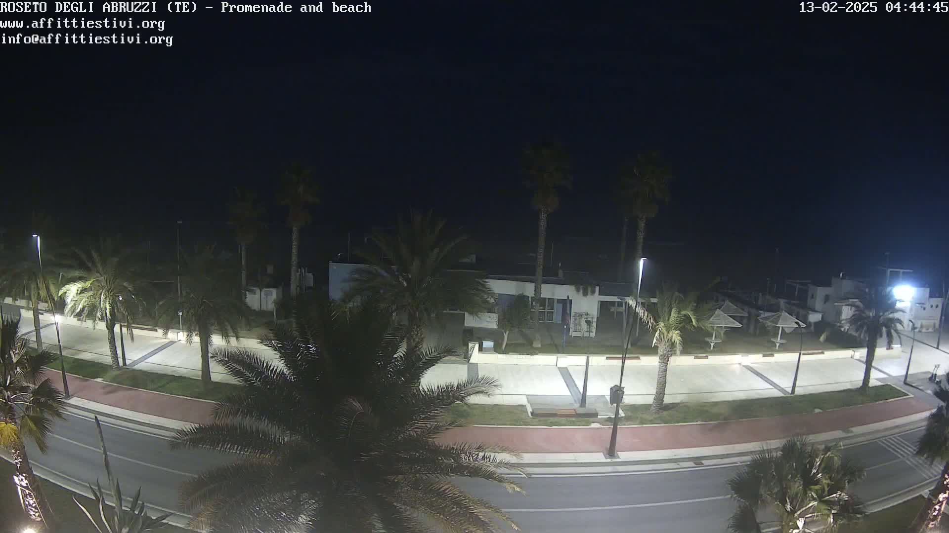A nighttime, overhead view shows a paved promenade and road lined with palm trees next to a beach, under a dark sky.