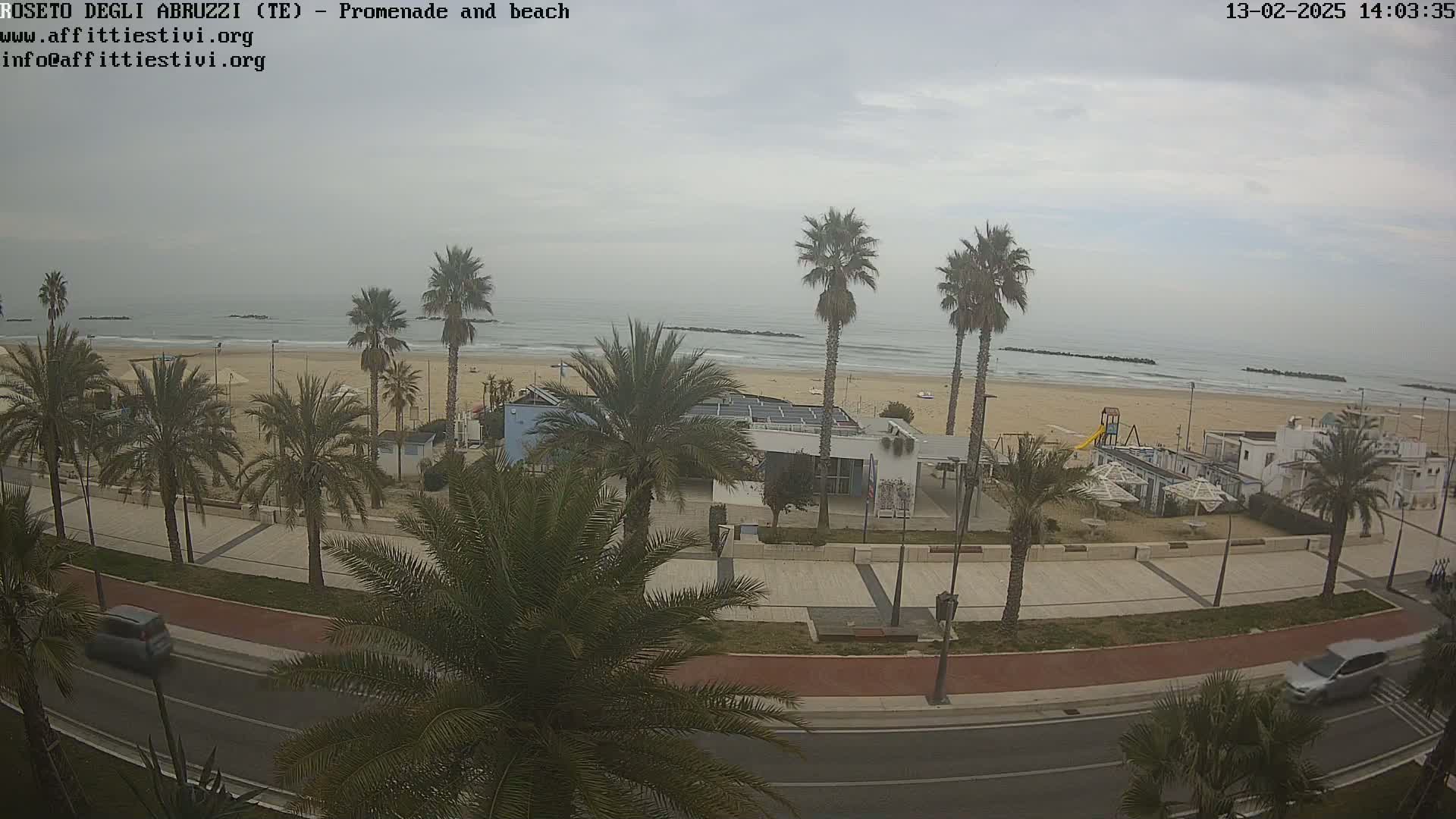 A beach with palm trees lining a promenade, a few cars on the road, and an overcast sky.