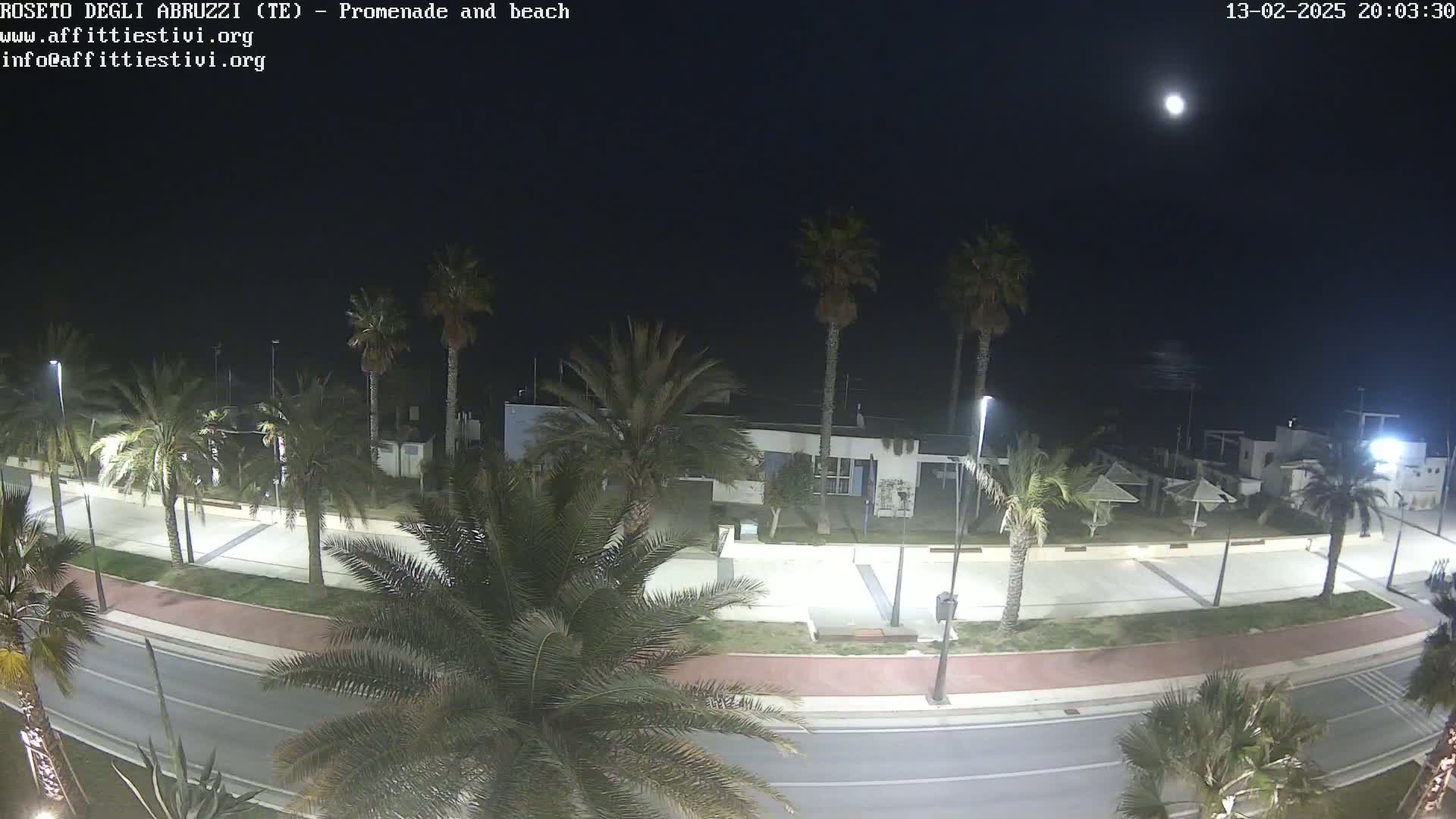 A nighttime view of a beachfront promenade lined with palm trees, under a bright moon.