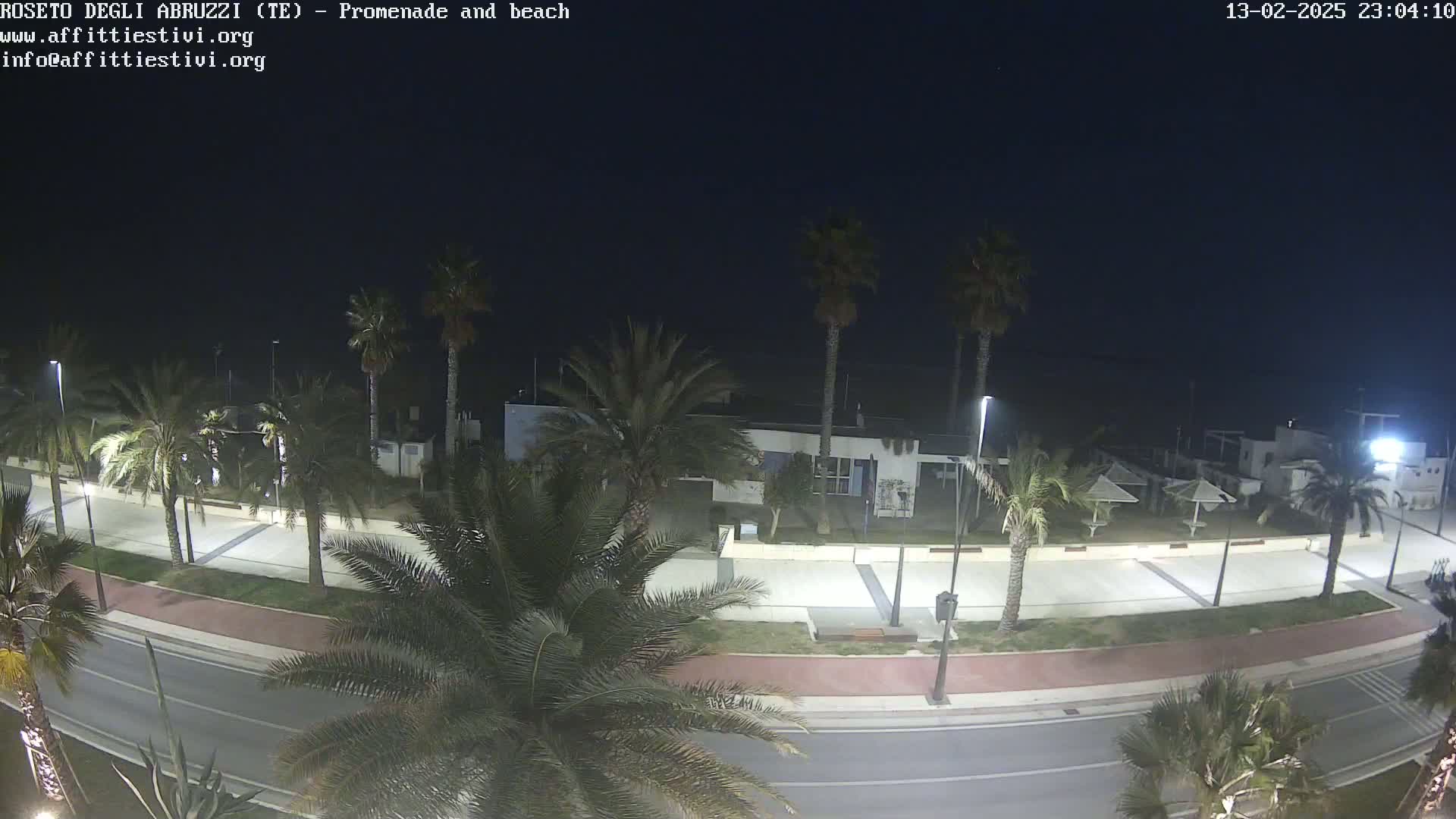 A nighttime view of a palm tree-lined promenade and beach, under a dark sky.