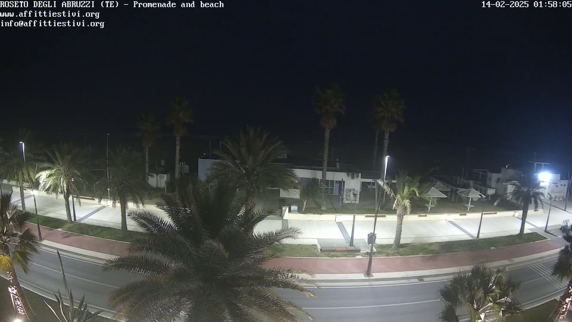 A nighttime view of a beach promenade with palm trees lining a road and a mostly clear dark sky.