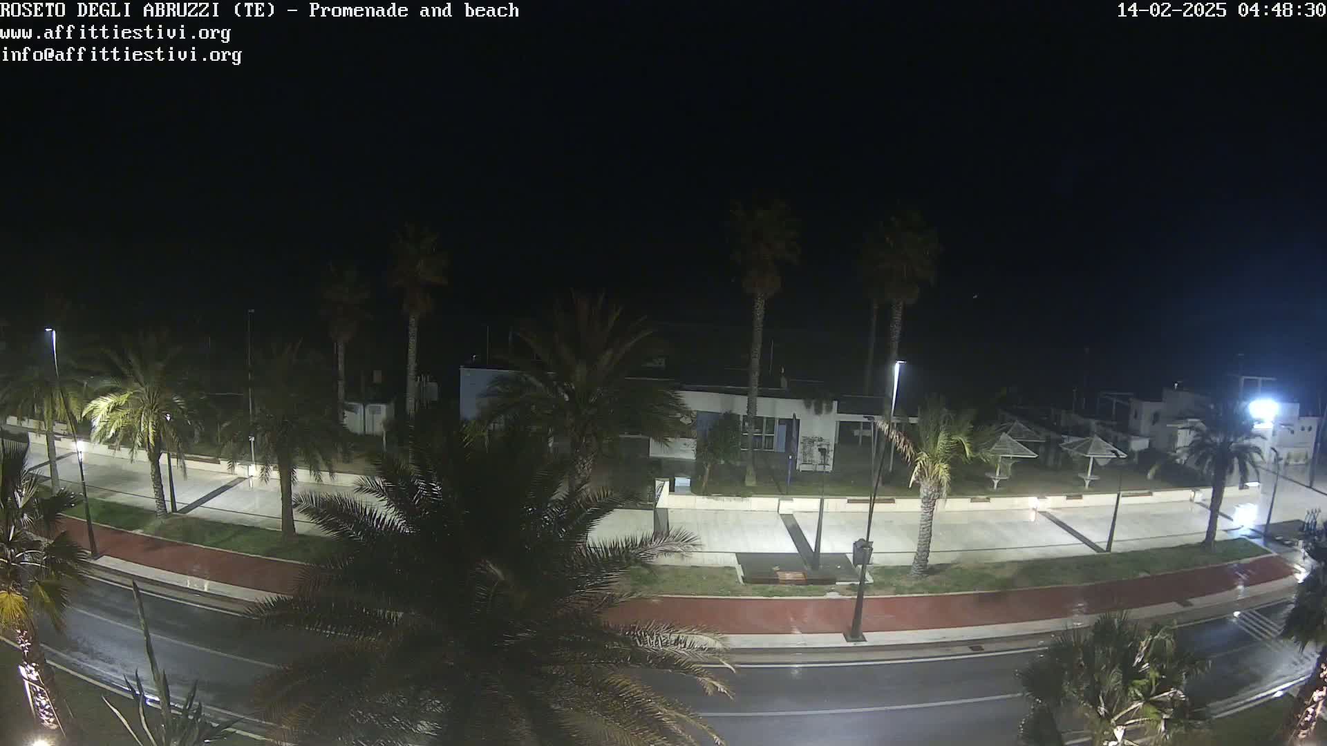 A nighttime view of a rain-slicked road next to a palm tree-lined promenade and beach.