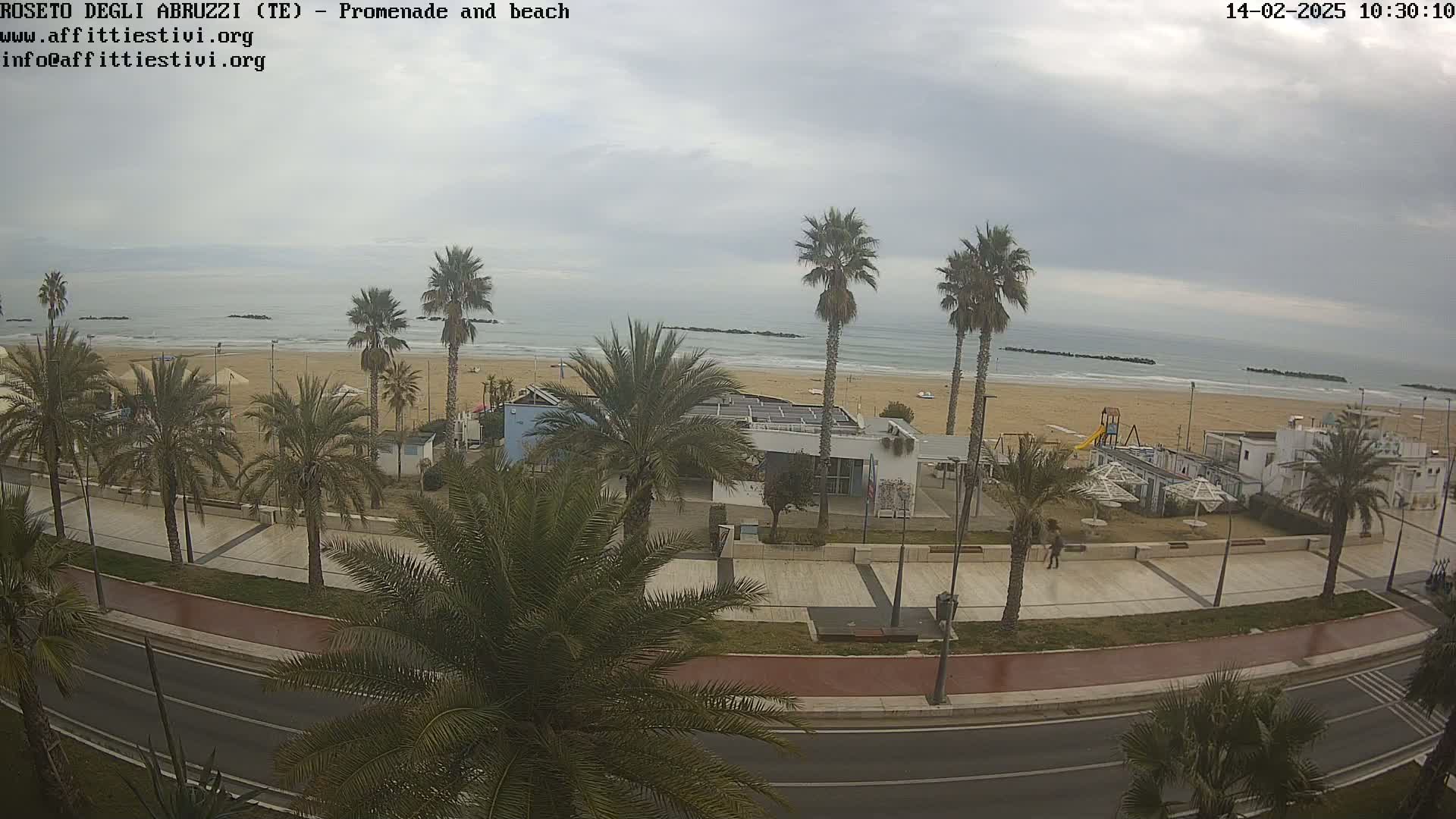 A beachfront promenade lined with palm trees under an overcast sky shows a sandy beach and calm ocean waves.