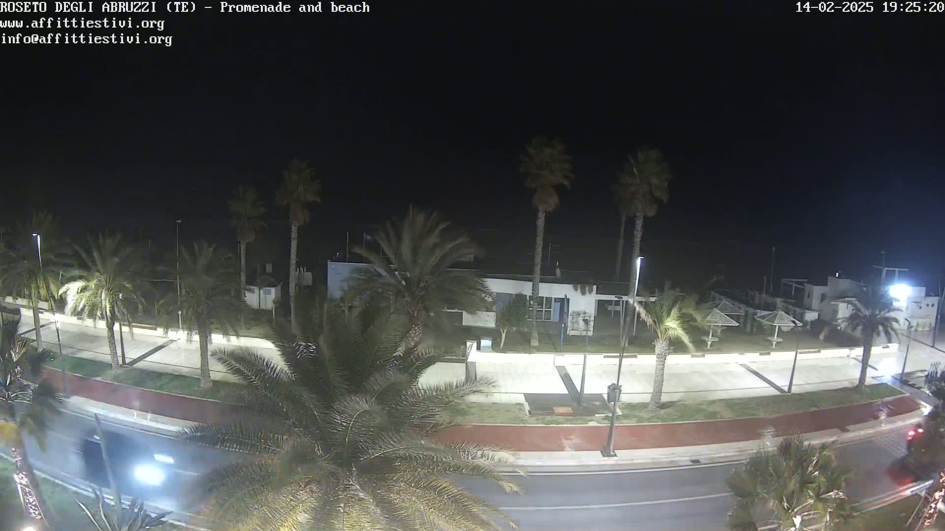 A nighttime, overhead view of a palm tree-lined promenade and beach, with a road and some vehicles visible.
