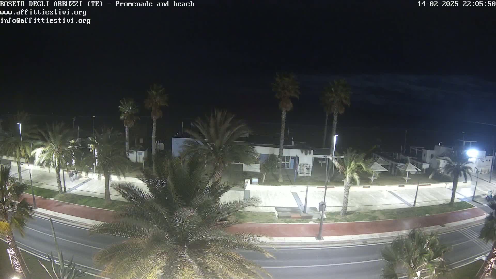 A nighttime view of a beachside promenade with palm trees lining a road next to a mostly dark beach under a clear night sky.