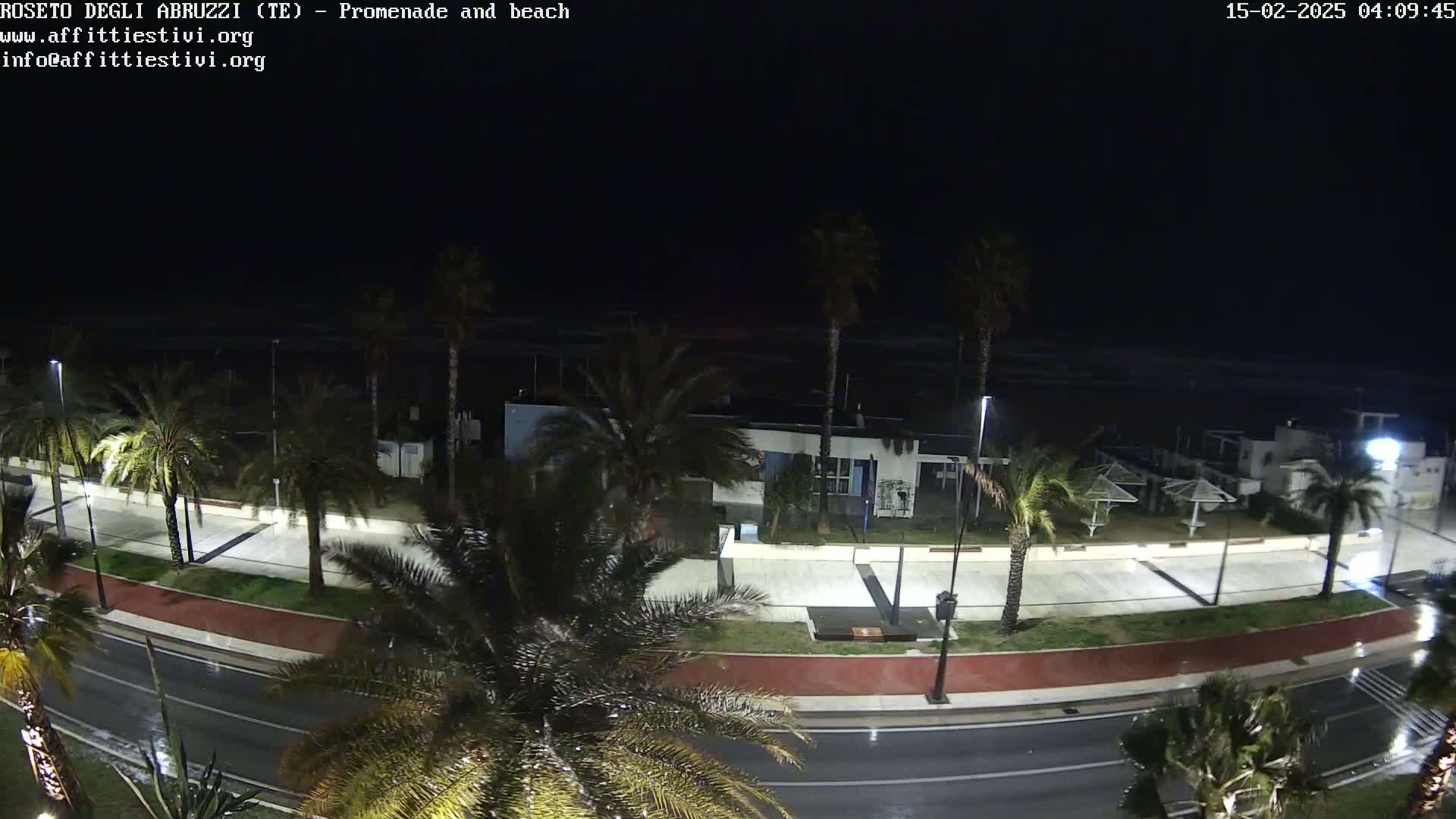 A rain-slicked nighttime street beside a palm-tree lined promenade overlooks a dark beach and ocean.