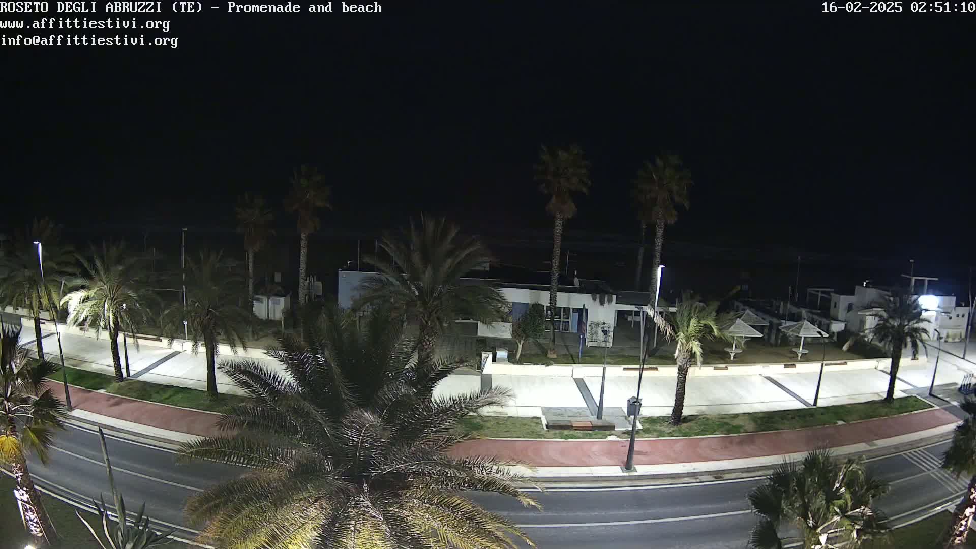 A nighttime, overhead view of a paved promenade and road lined with palm trees, leading to a beach with several closed beach umbrellas and a building.