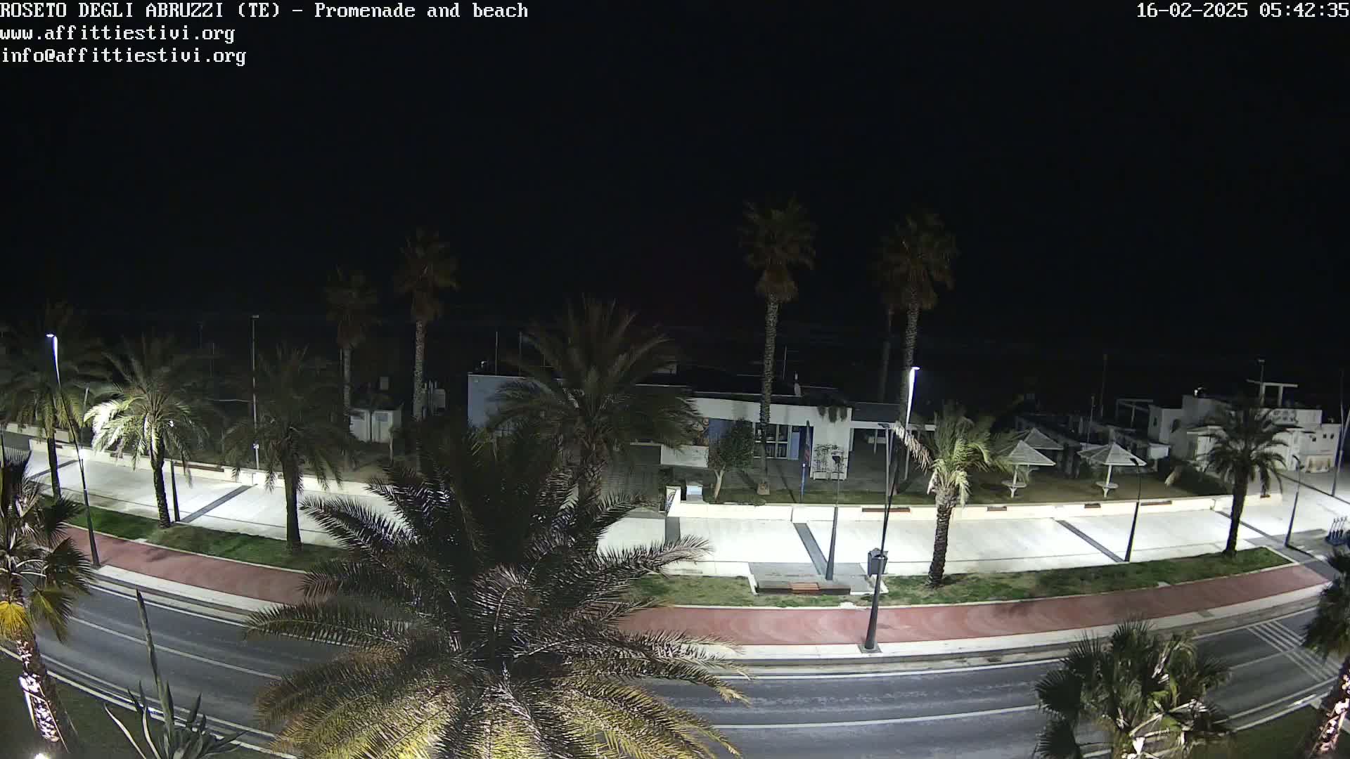 A nighttime, overhead view of a palm tree-lined promenade and beach, with a road separating them.