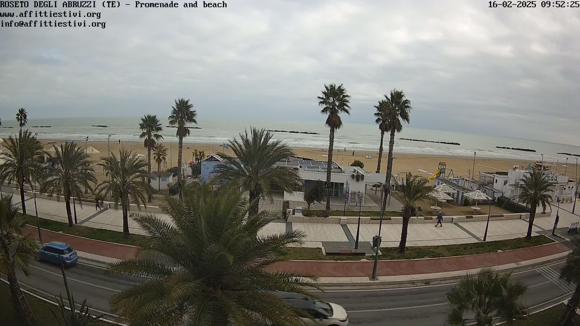 A beach with palm trees lining a promenade beside a road, under an overcast sky.