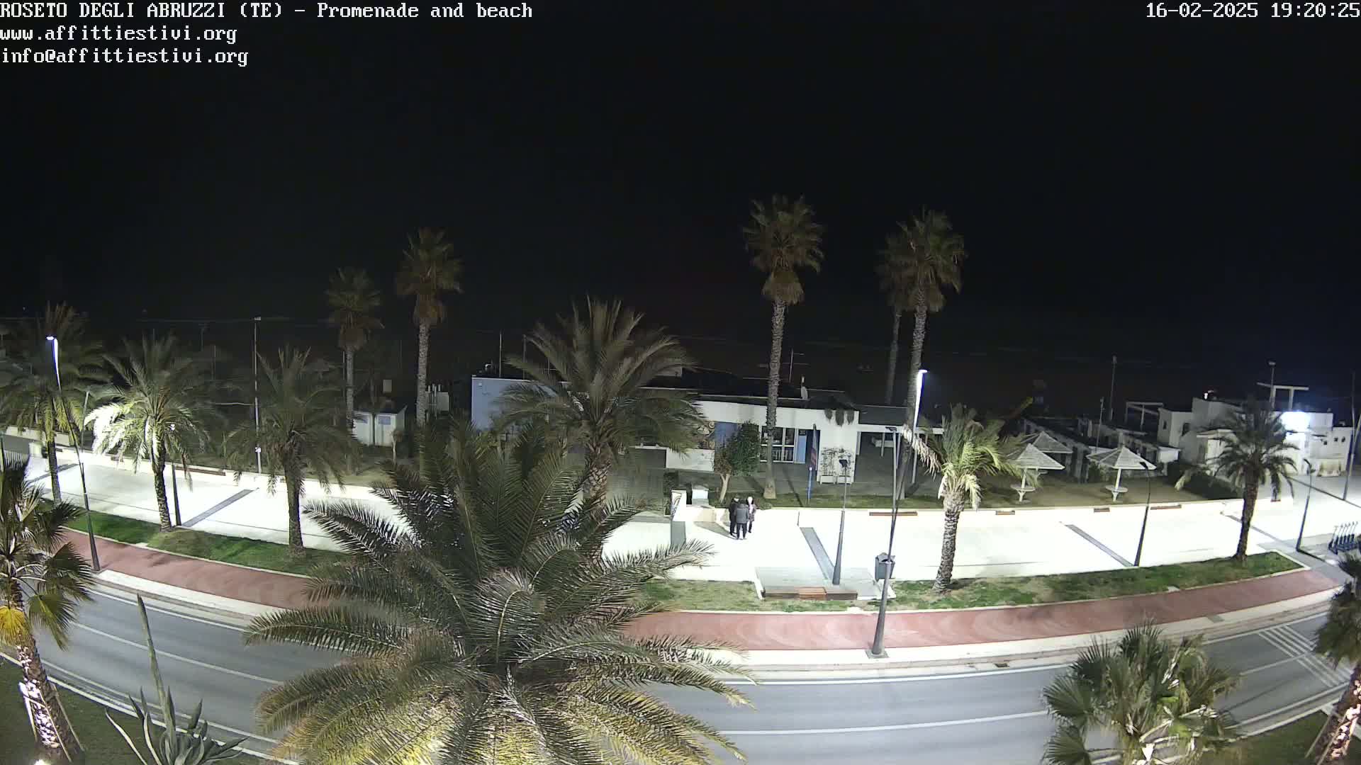 A nighttime, high-angle view of a seaside promenade lined with palm trees, featuring a paved walkway, a road, and beach umbrellas in the background.
