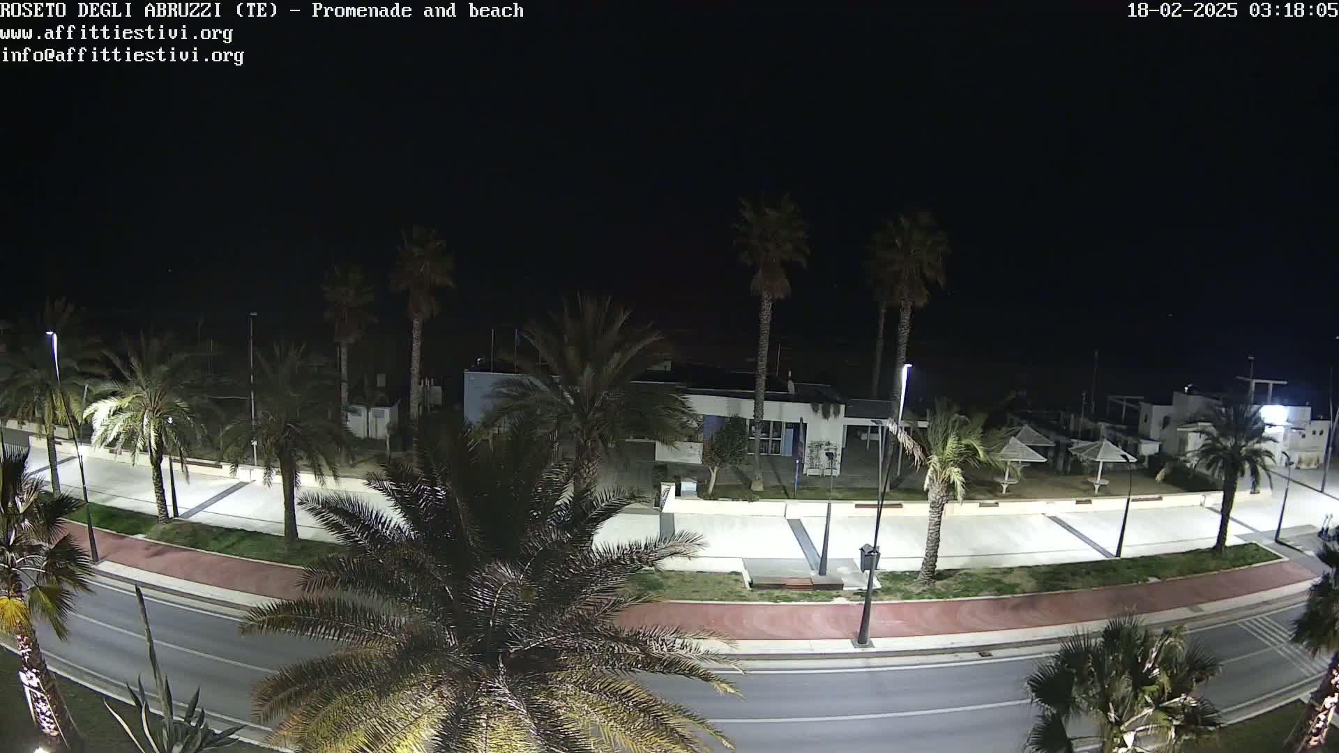 A nighttime, overhead view of a palm-tree-lined promenade and beach area, with a road and several closed beach umbrellas visible.