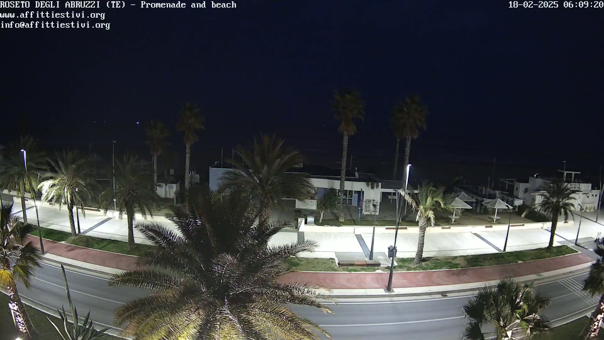 A nighttime, high-angle view shows a paved promenade and beach lined with palm trees, a road, and a few buildings under a dark sky.