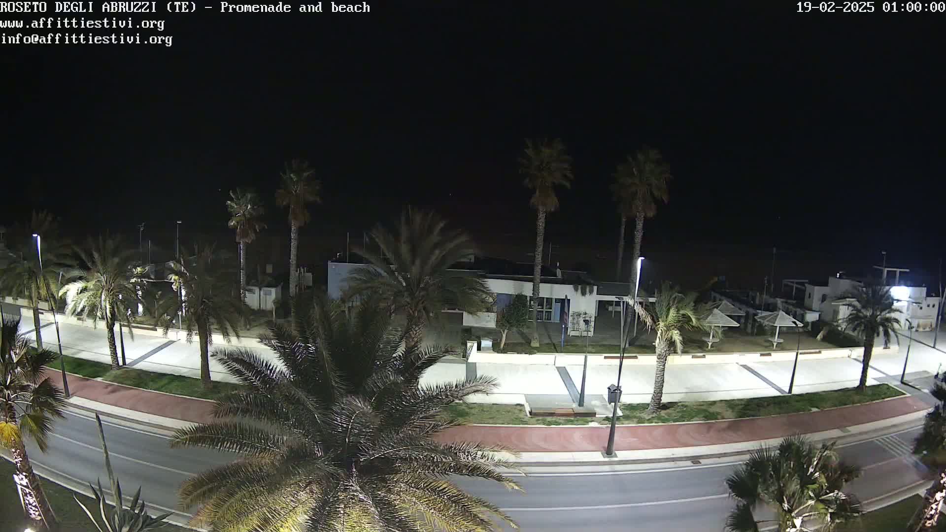 A nighttime, high-angle view shows a palm tree-lined promenade and beach, with a roadway running alongside.