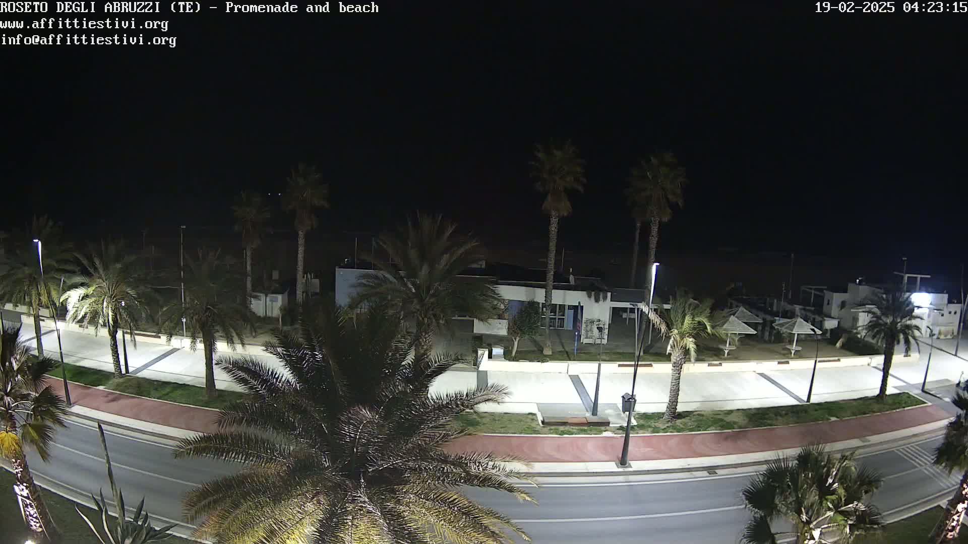A nighttime, high-angle view of a beachfront promenade lined with palm trees, a road, and a building with beach umbrellas nearby.