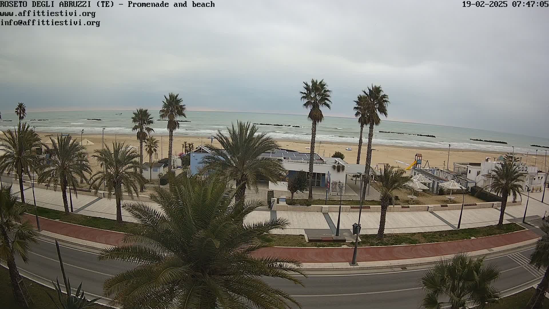 A beach with palm trees lining a paved promenade and road, under an overcast sky with a calm sea.