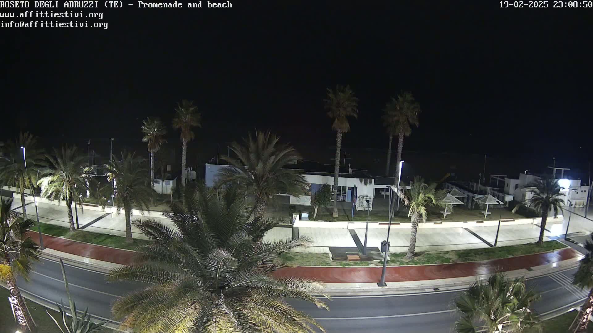 A nighttime view of a wet promenade and road lined with palm trees, next to a beach under a dark sky.