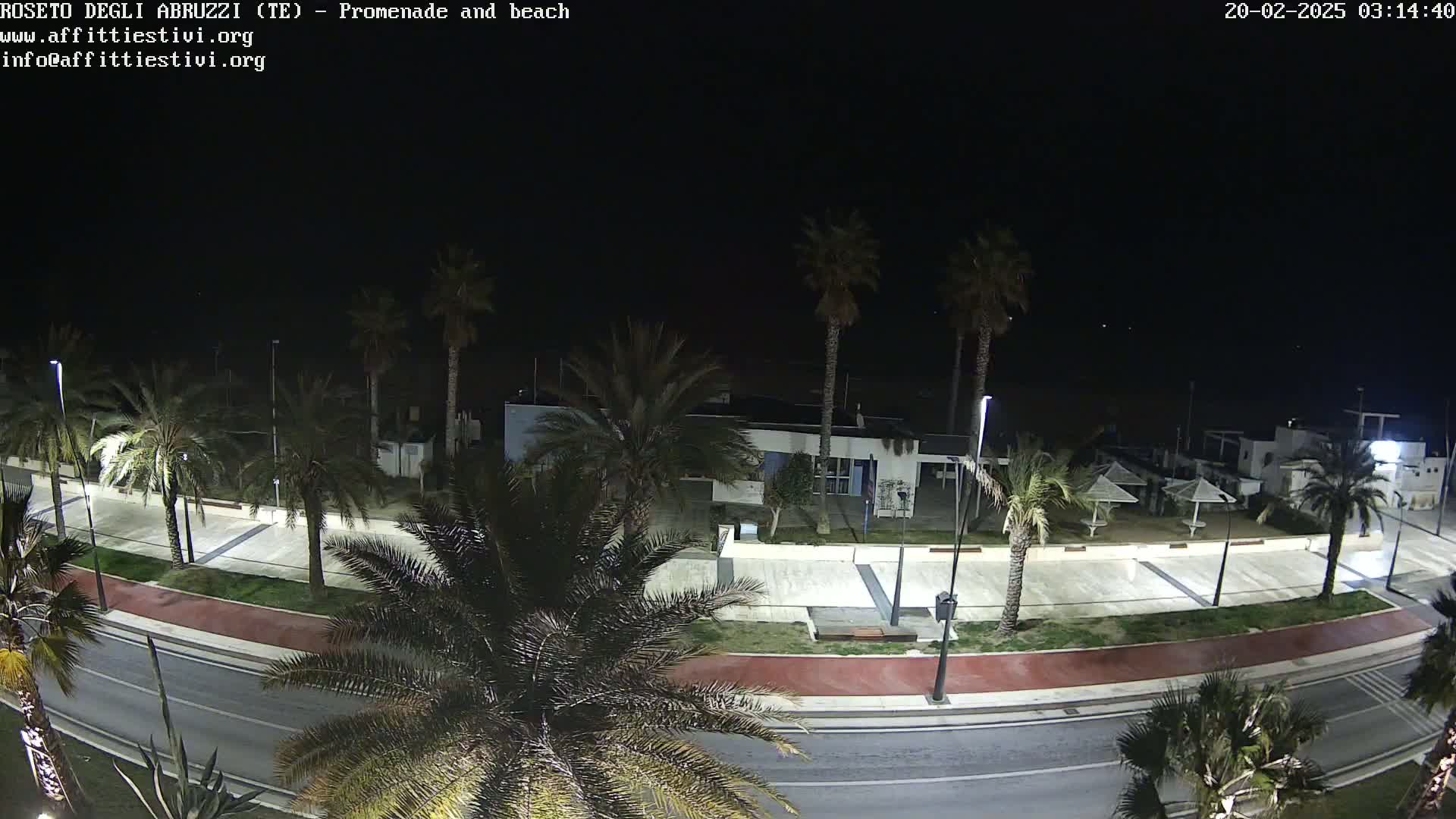 A nighttime view of a palm tree-lined promenade and beach, illuminated by streetlights.