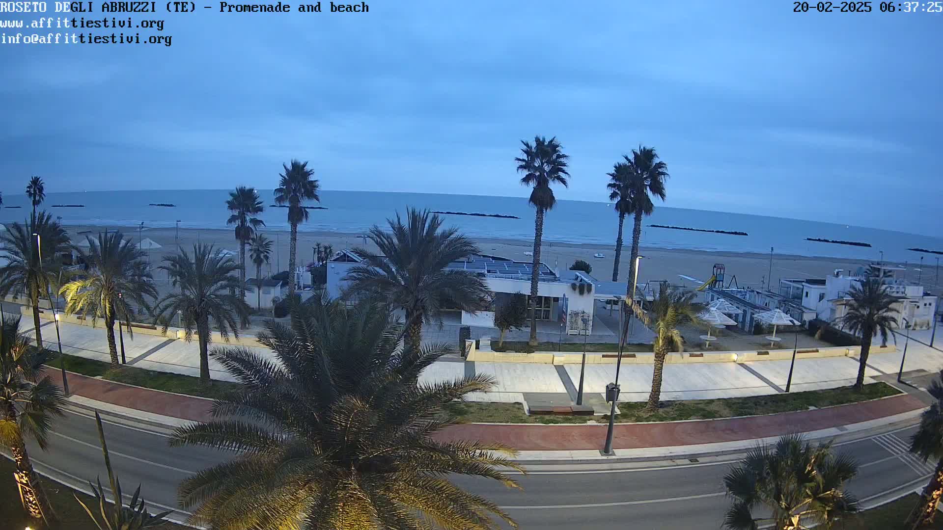 A seaside promenade at dawn, lined with palm trees and overlooking a calm, blue ocean and sandy beach.