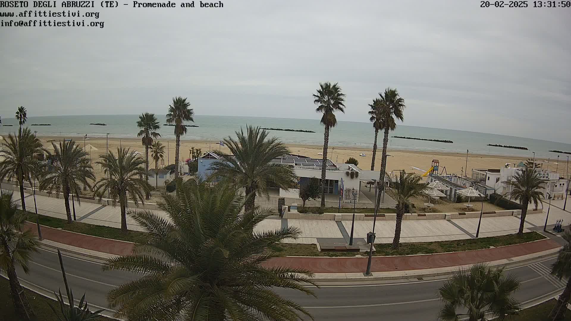 A seaside promenade lined with palm trees overlooks a sandy beach and calm ocean under an overcast sky.