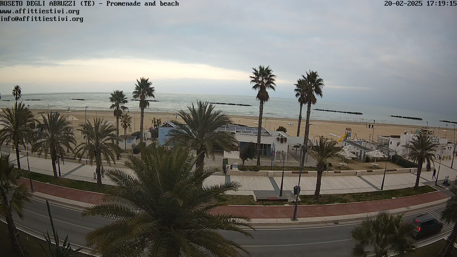A beachfront promenade lined with palm trees overlooks a calm, overcast ocean; a road runs along the promenade, separating it from the buildings behind it.
