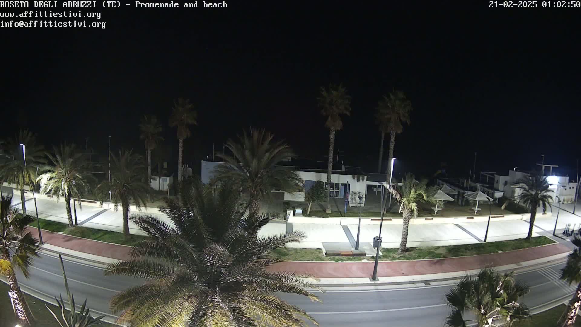 A nighttime view of a beachfront promenade lined with palm trees, featuring a paved walkway, a road, and a building near the beach under a clear, dark sky.