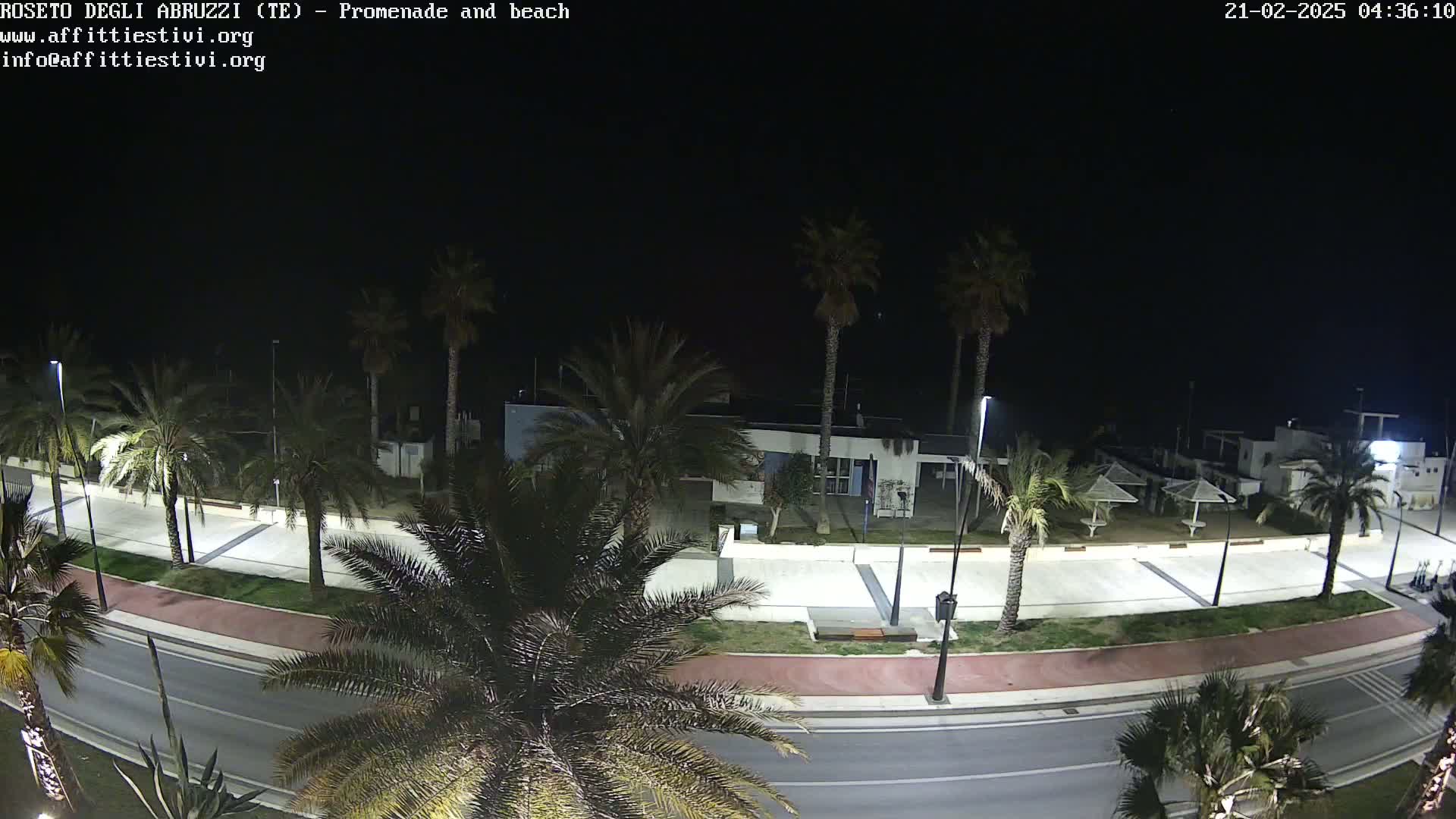 A nighttime view of a palm tree-lined promenade and beach, with a road separating the two.