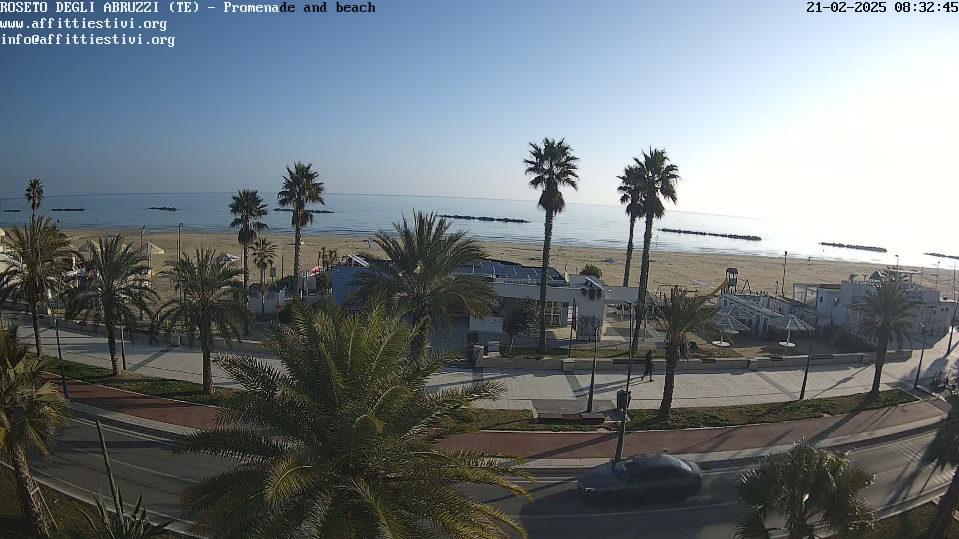 A seaside promenade with palm trees lines a road overlooking a sandy beach and calm ocean under a clear sky.