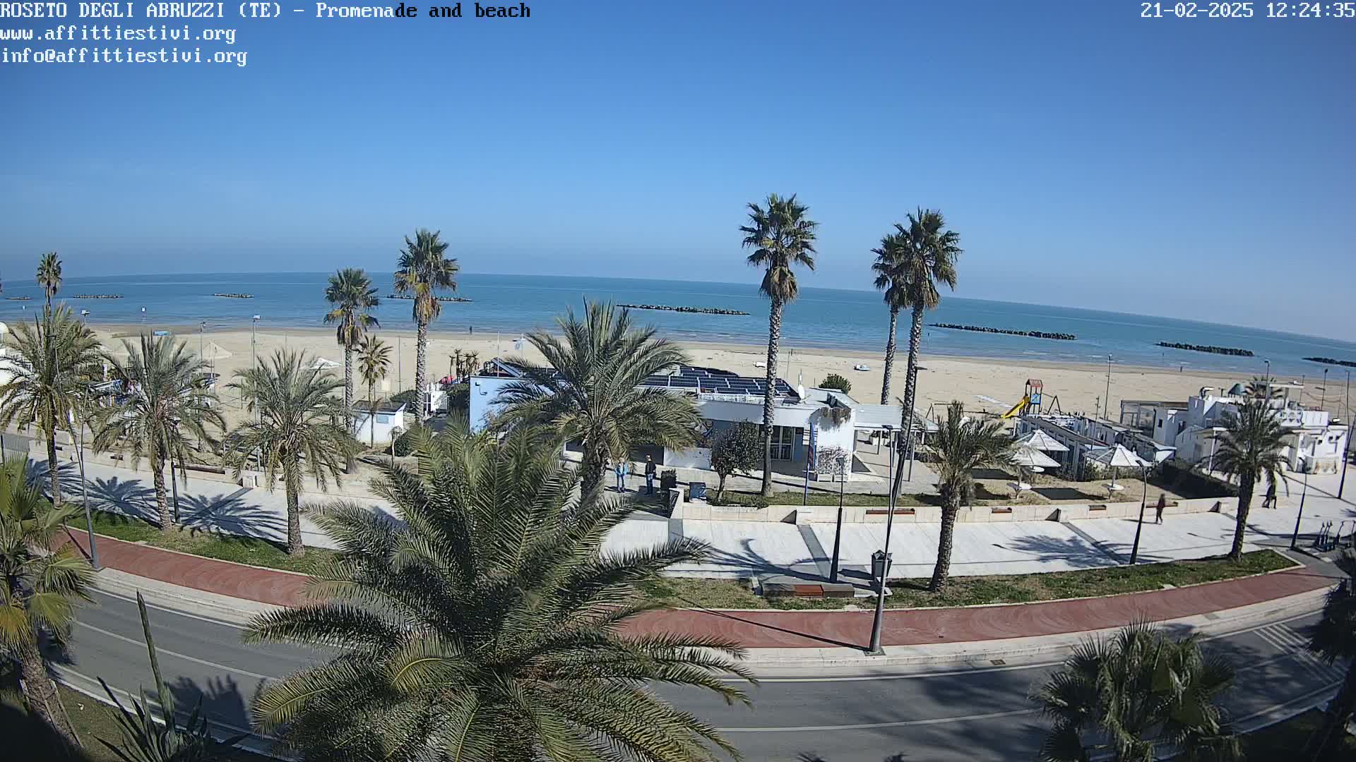A sunny day at a beachside promenade shows palm trees lining a paved walkway next to a sandy beach and calm ocean.