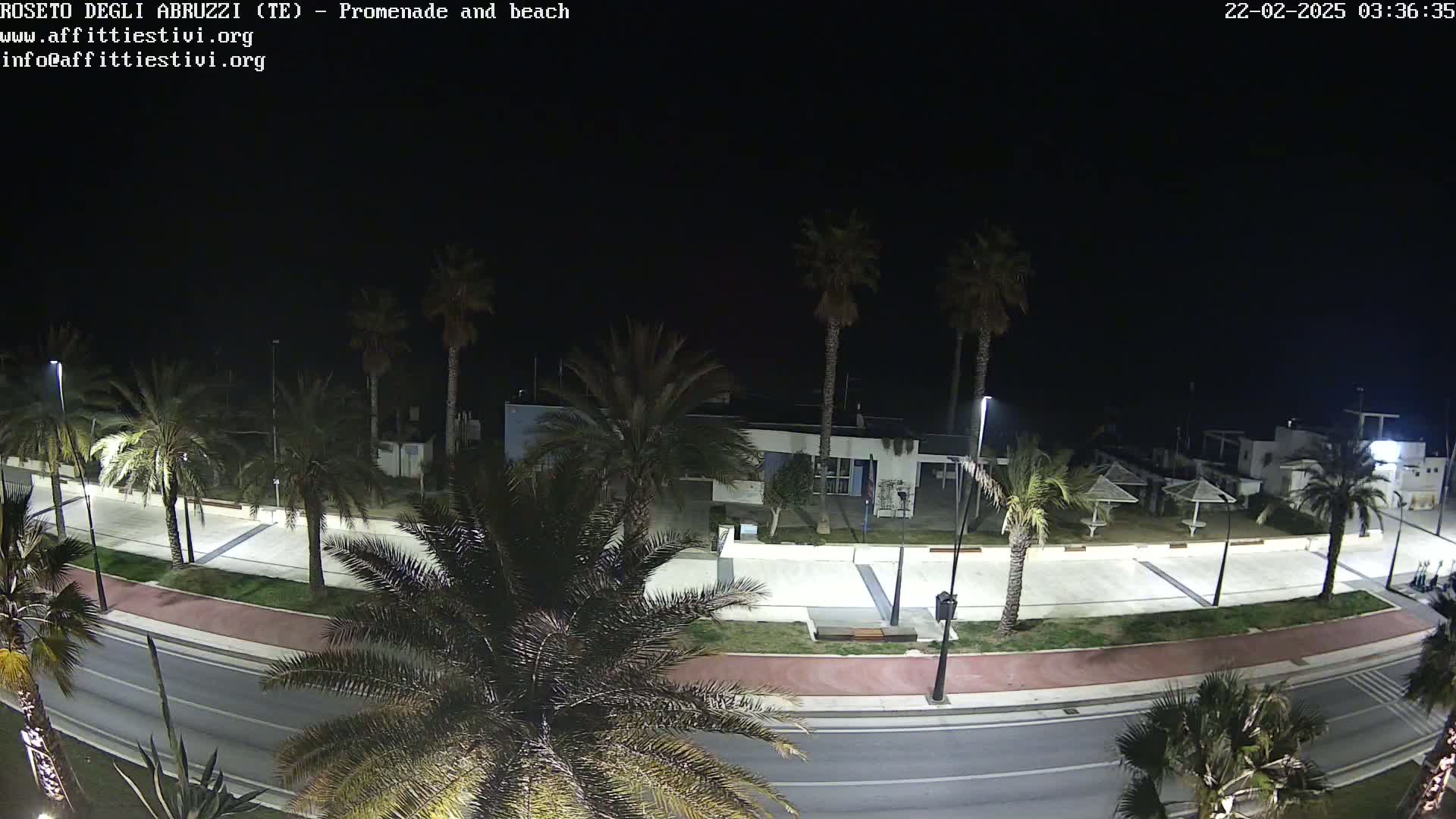 A nighttime view of a palm tree-lined promenade and beach, illuminated by streetlights.