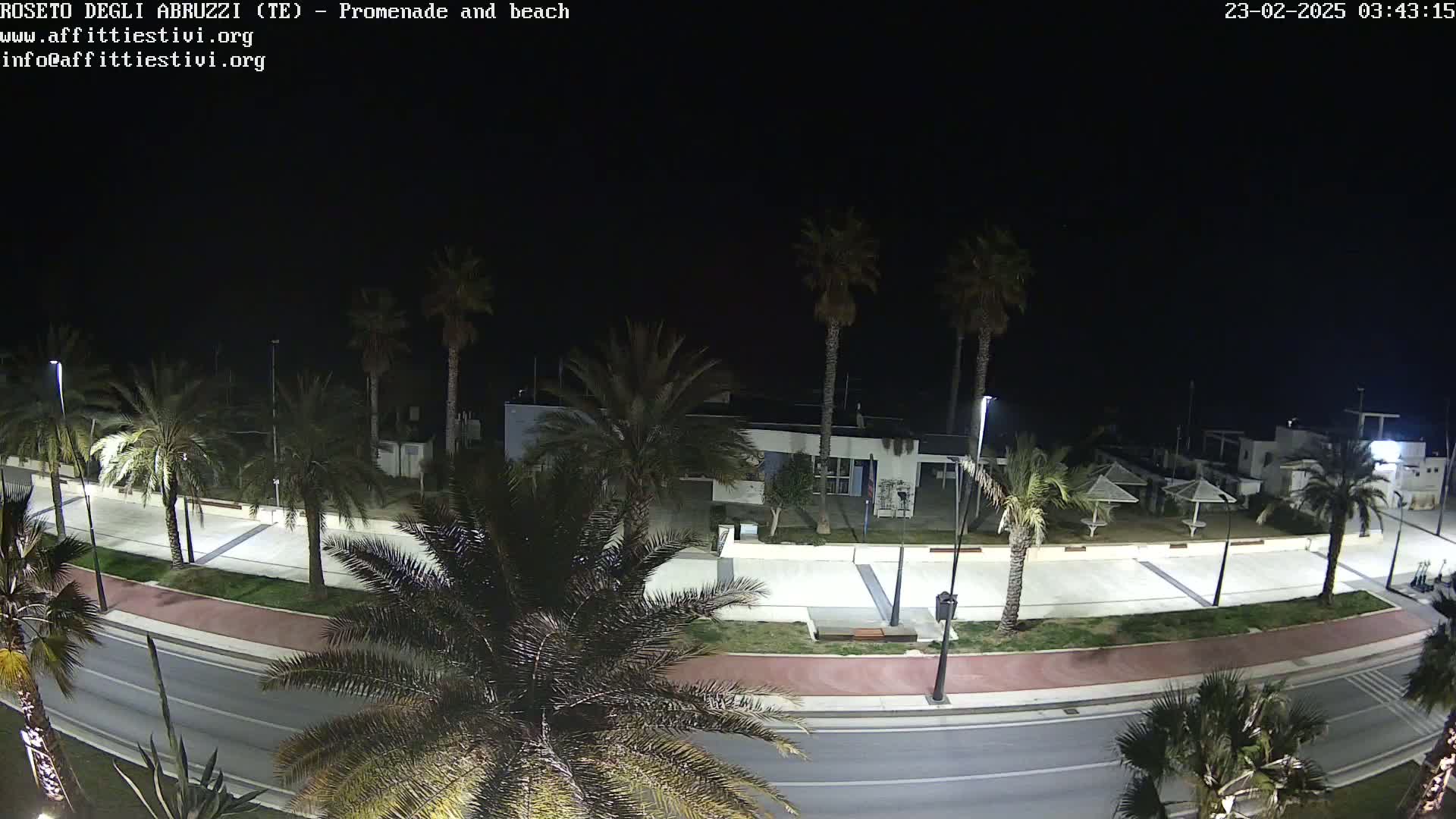 A nighttime view of a paved promenade lined with palm trees, adjacent to a road and a beach with several closed beach umbrellas.