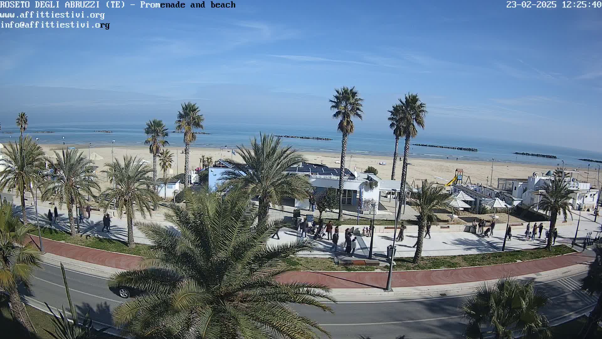 A beach with palm trees, a promenade, and people walking along a sunny day.