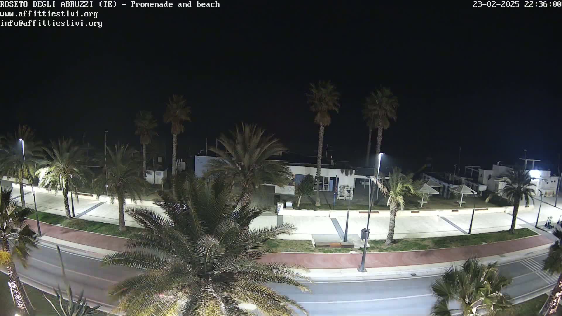 A nighttime view of a promenade and beach area lined with palm trees, showing a mostly empty paved walkway and road.