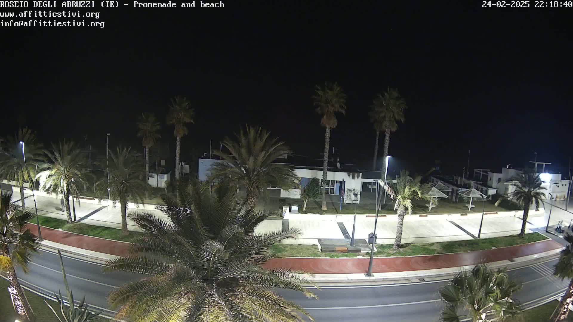 A nighttime view of a palm tree-lined promenade and beach, with a road running alongside and a few buildings visible in the distance under a clear, dark sky.