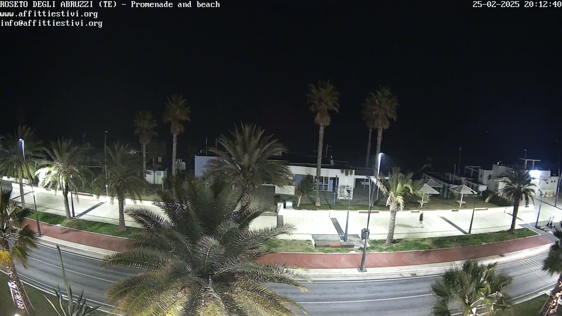 A nighttime aerial view of a palm tree-lined promenade and beach, with a road running alongside.